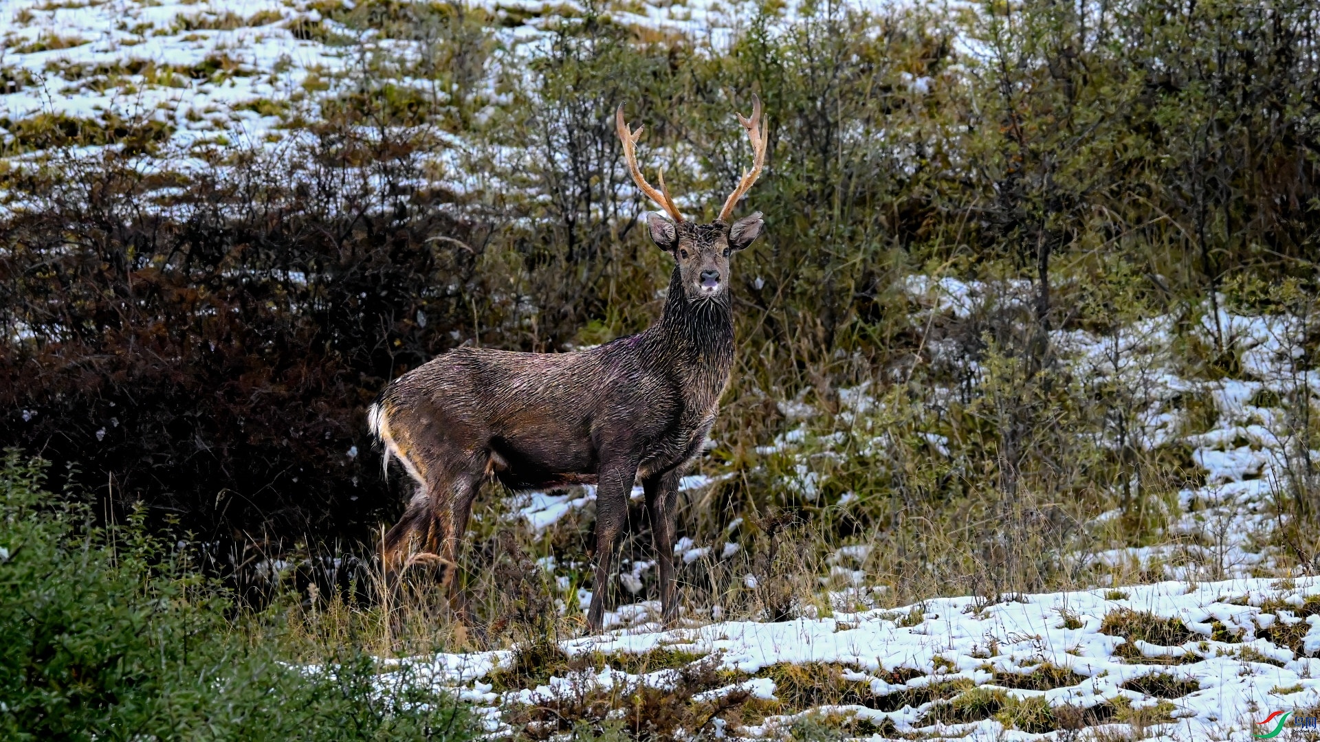 DSC_3891-2_01.JPG
