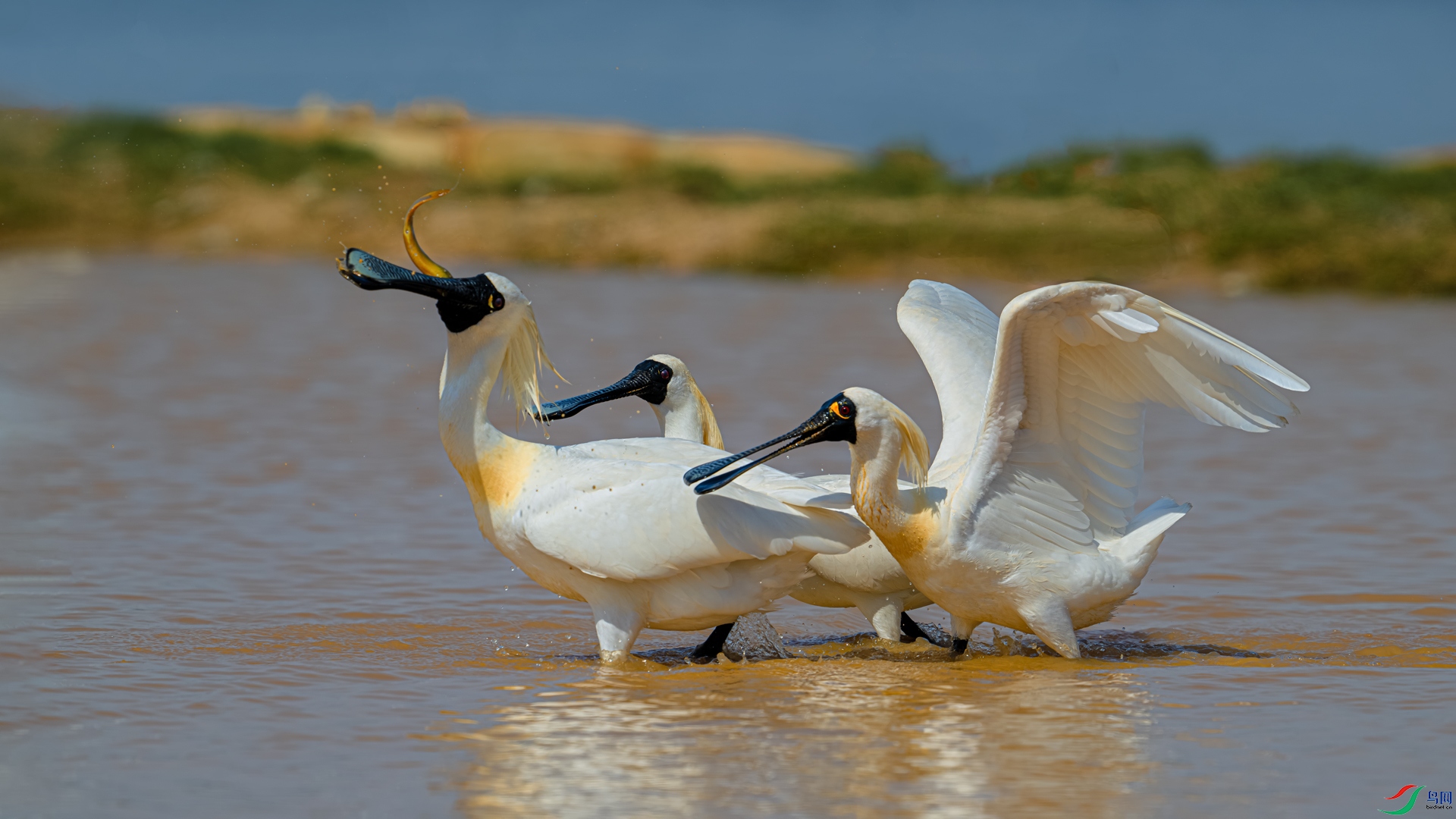 DSC_6820==1w.jpg
