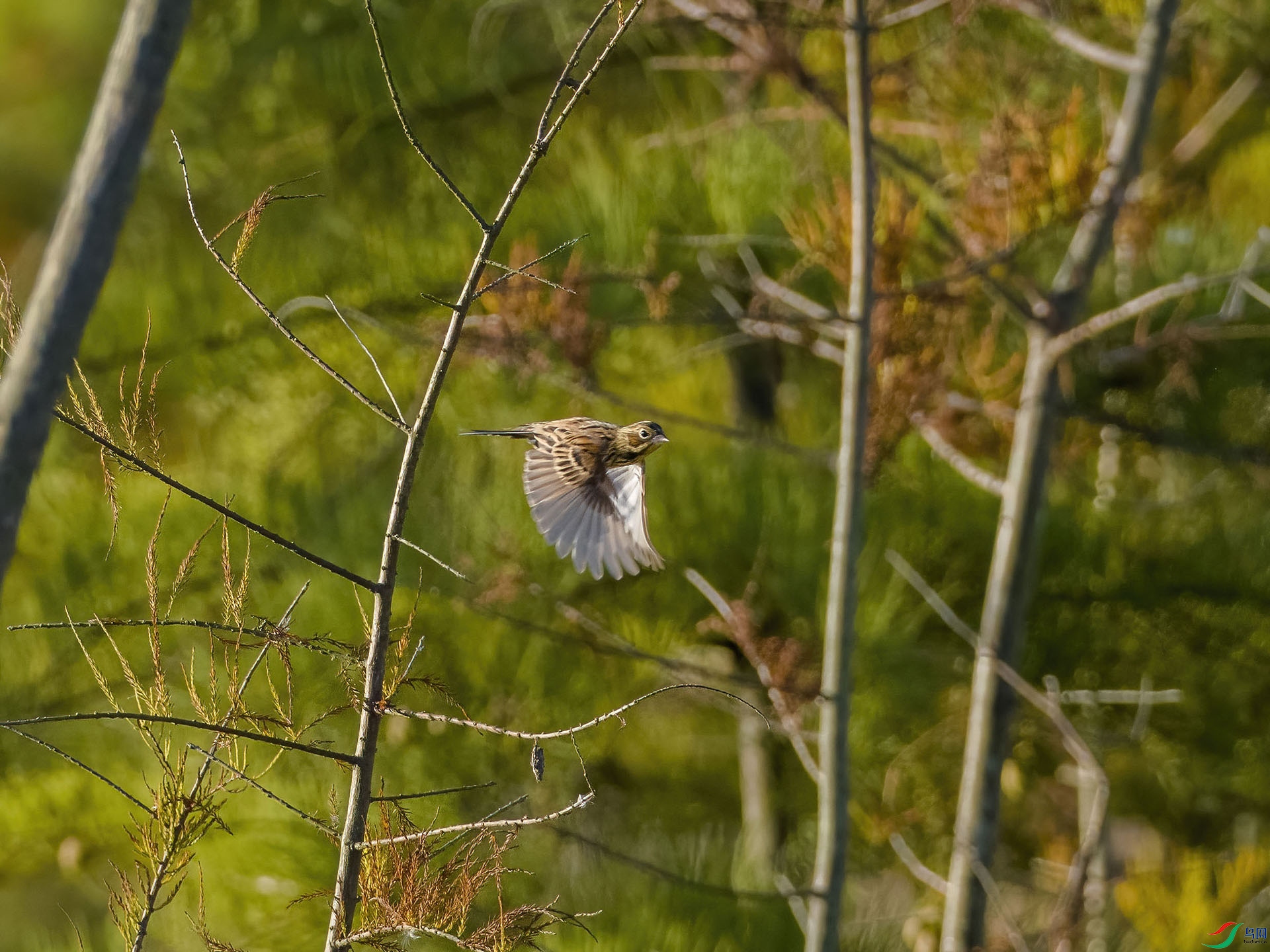 05 PB026683-DeNoiseAI-low-light.jpg