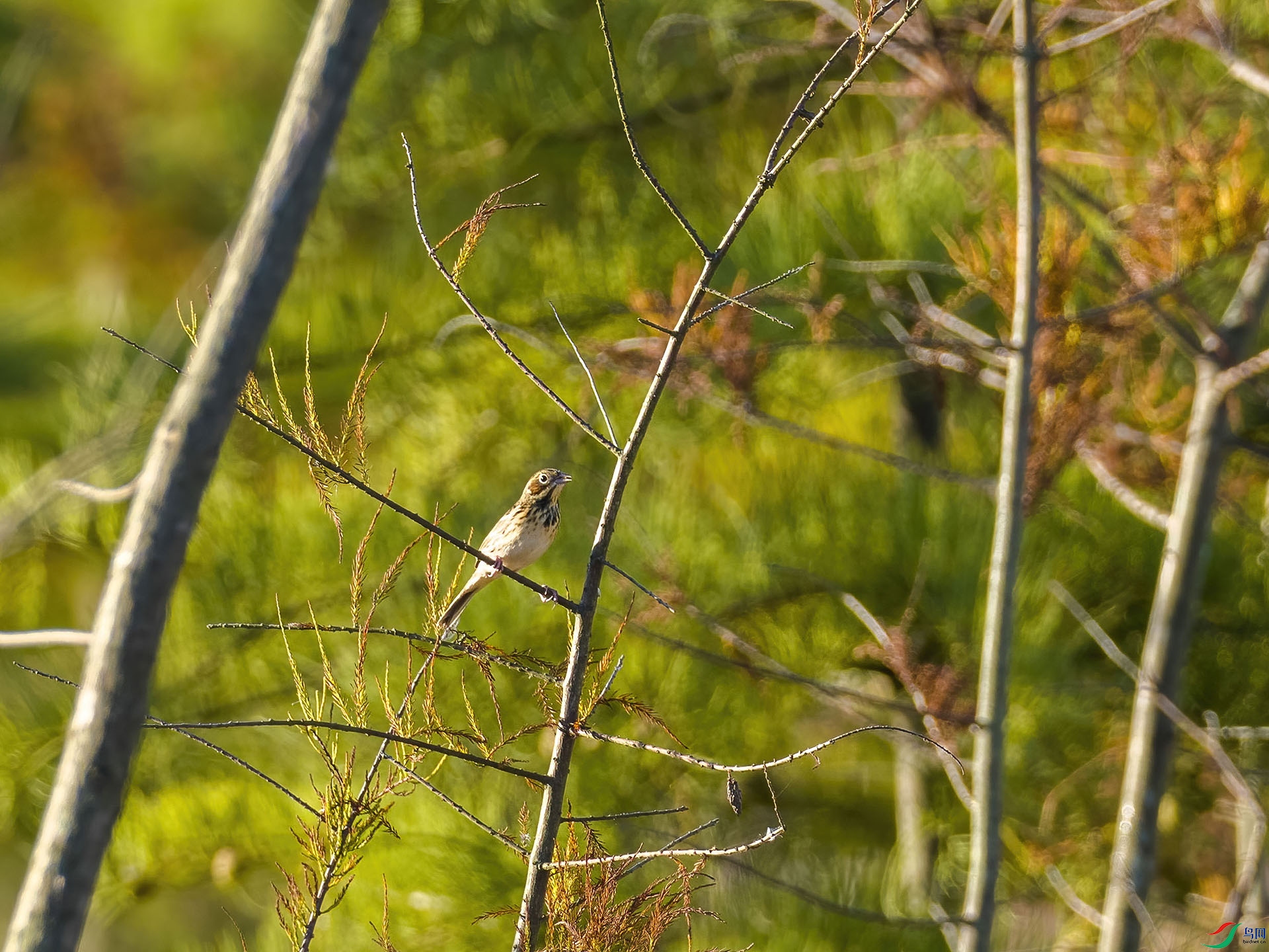 03 PB026676-DeNoiseAI-standard.jpg