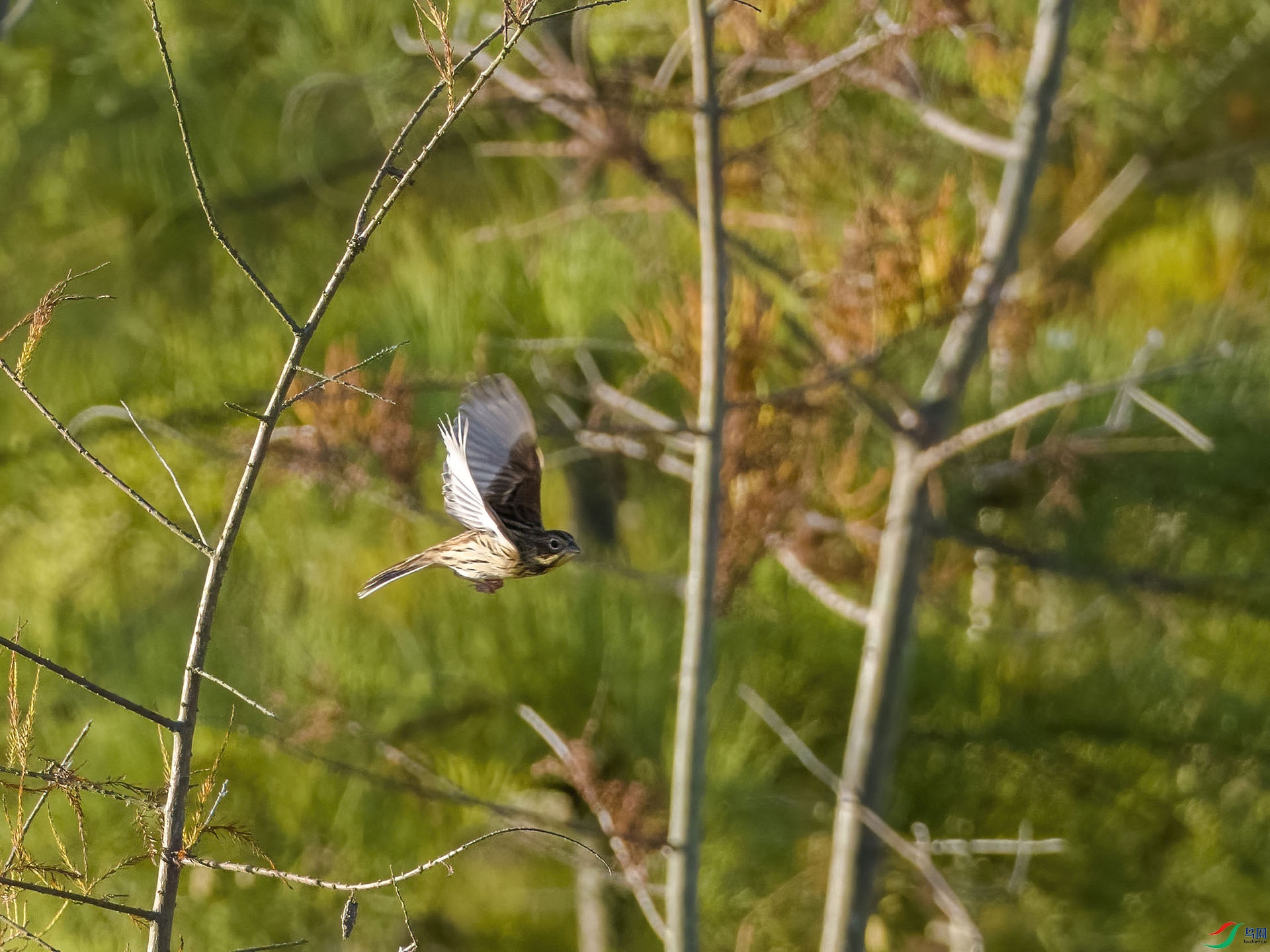 06 PB026684-DeNoiseAI-low-light.jpg