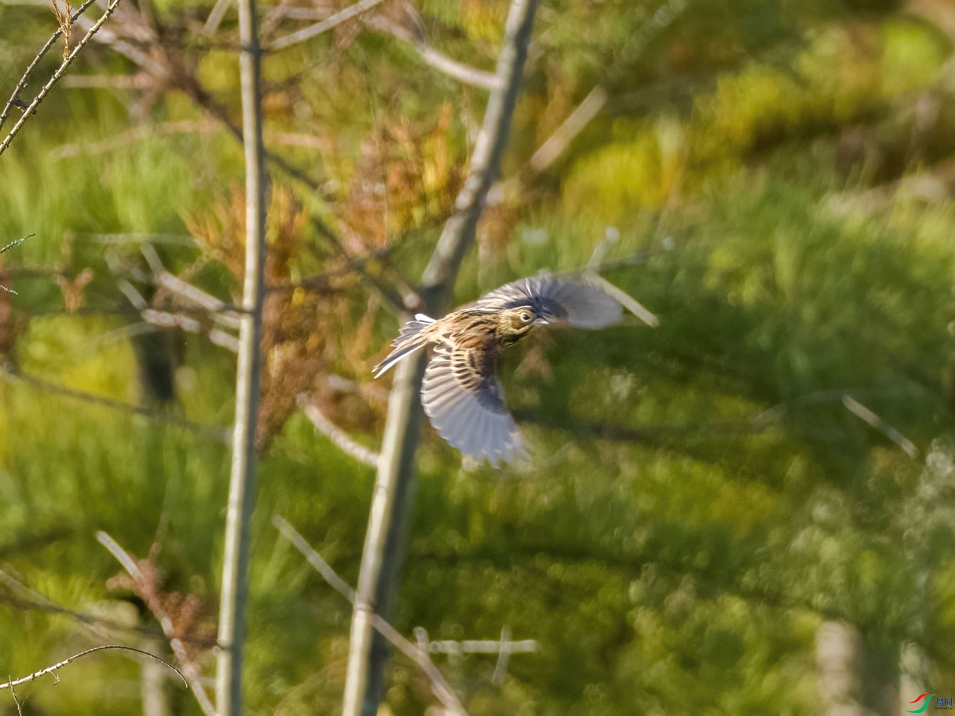 08 PB026689-DeNoiseAI-low-light.jpg