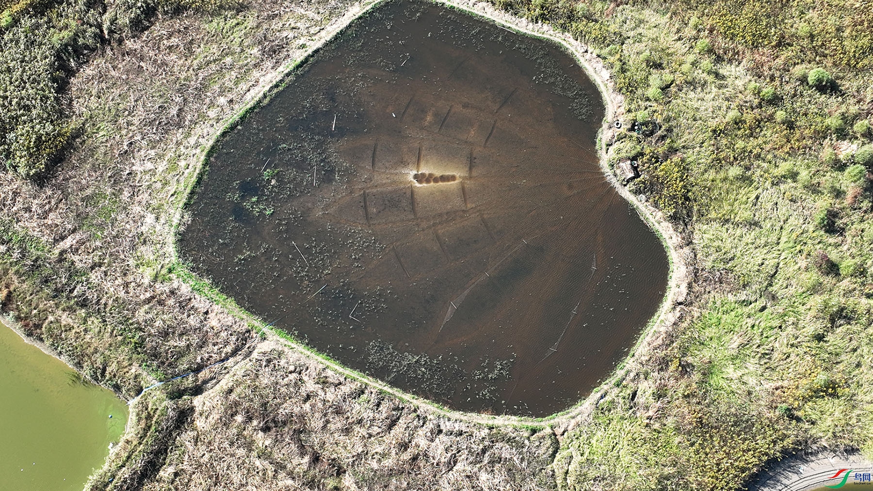 �����µ�����   ������������Ҧx.jpg