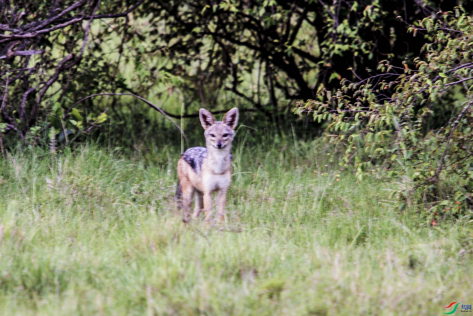 DSC_1194.jpg