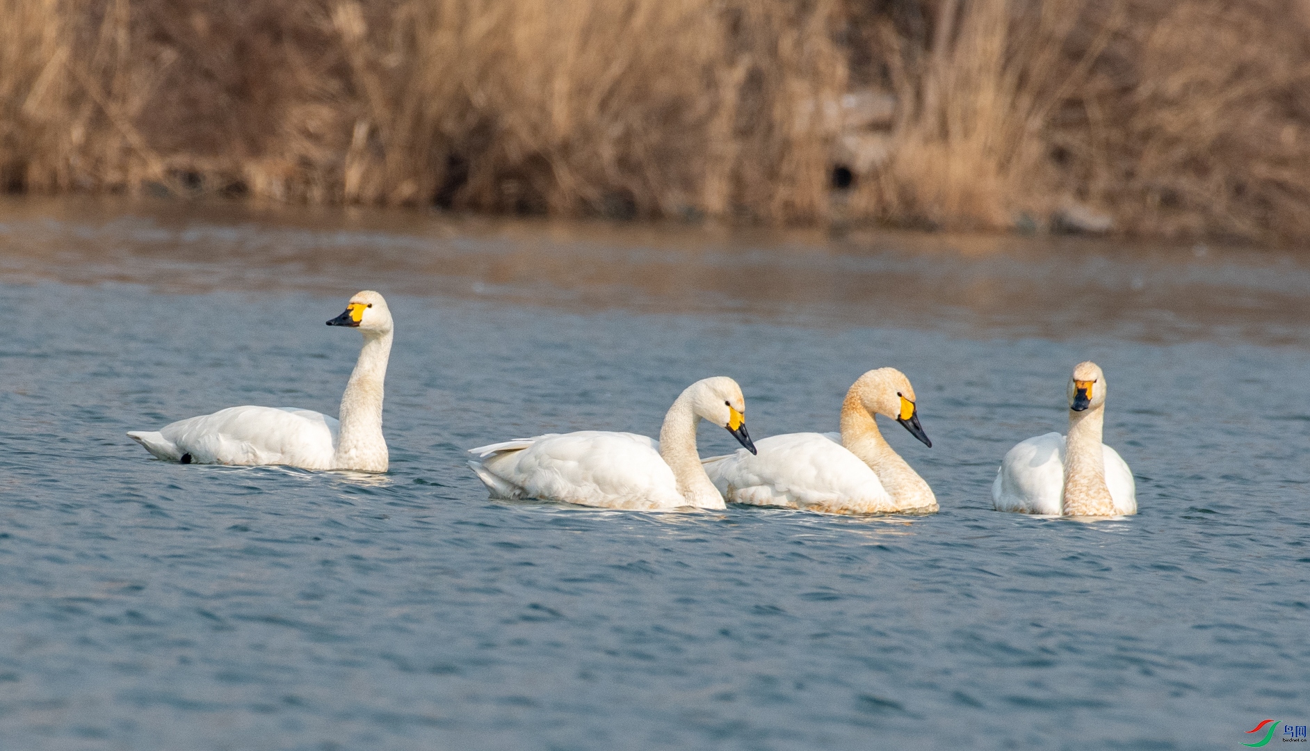 DSC_1095.jpg