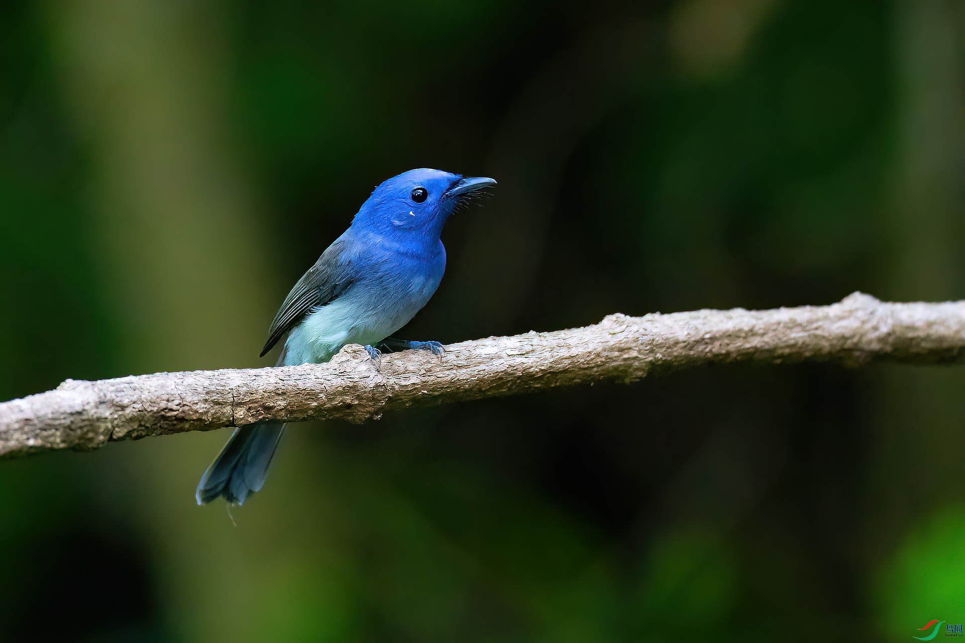 DSC_0811.jpg