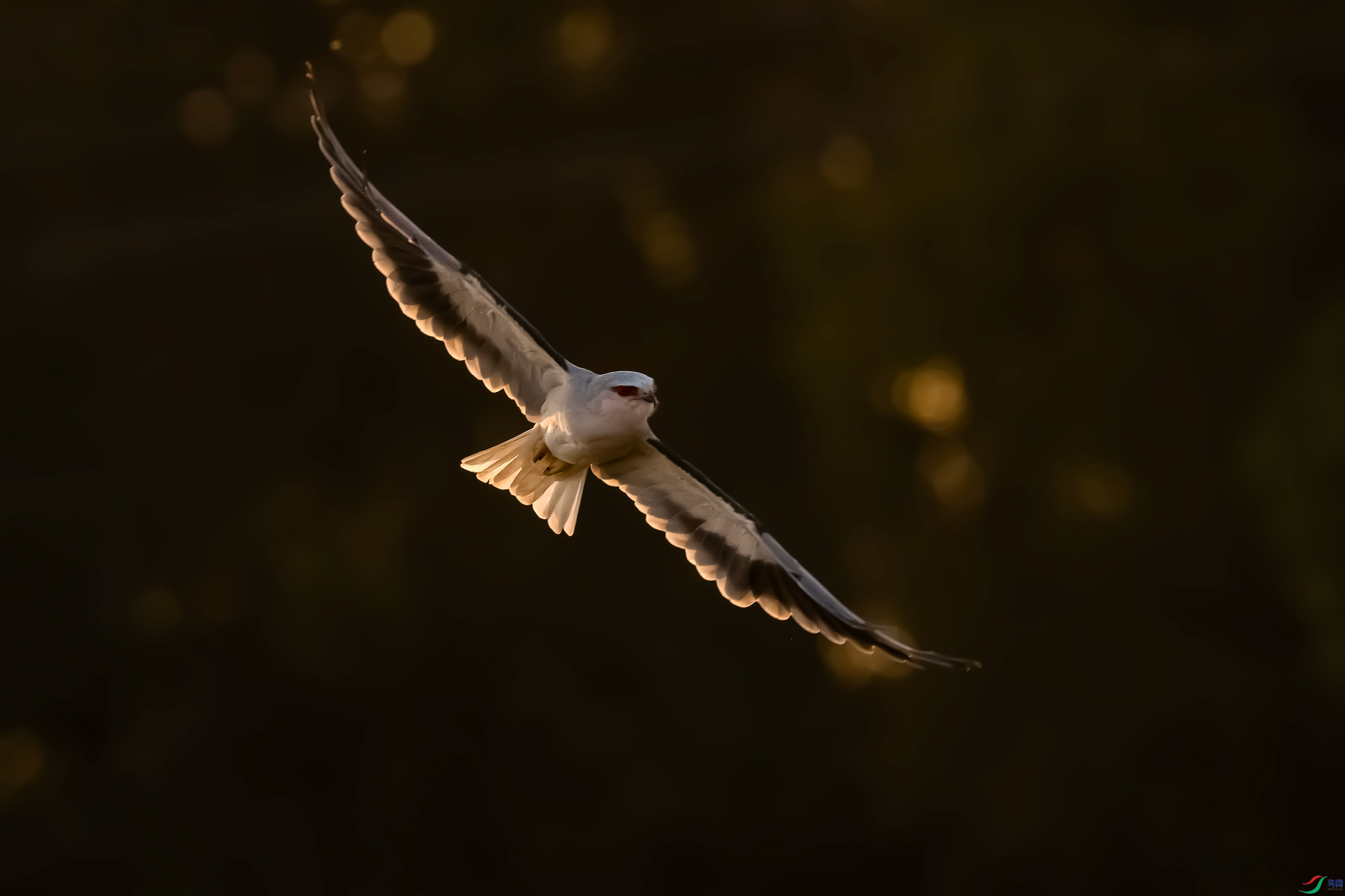 �ڳ����Ϧ���·���