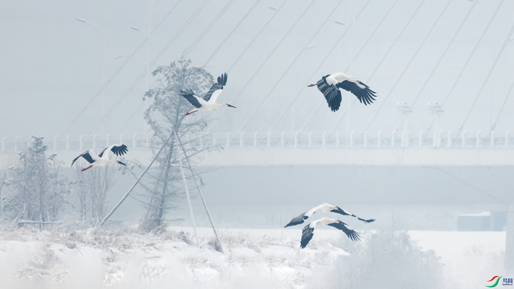 3U2A1951 ���� 2.jpg