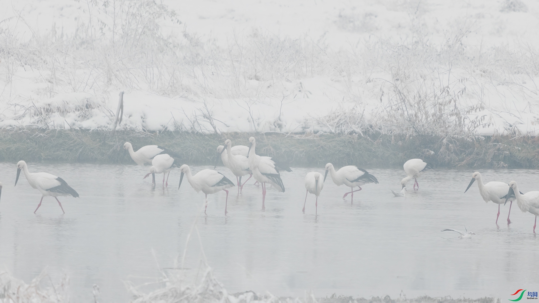 3U2A1703 ���� 2.jpg