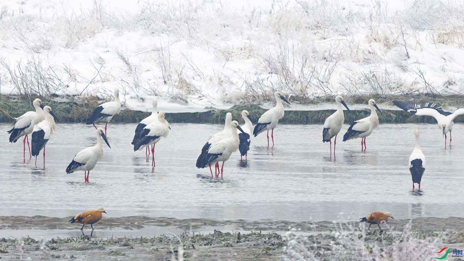 3U2A2311 ���� 2.jpg