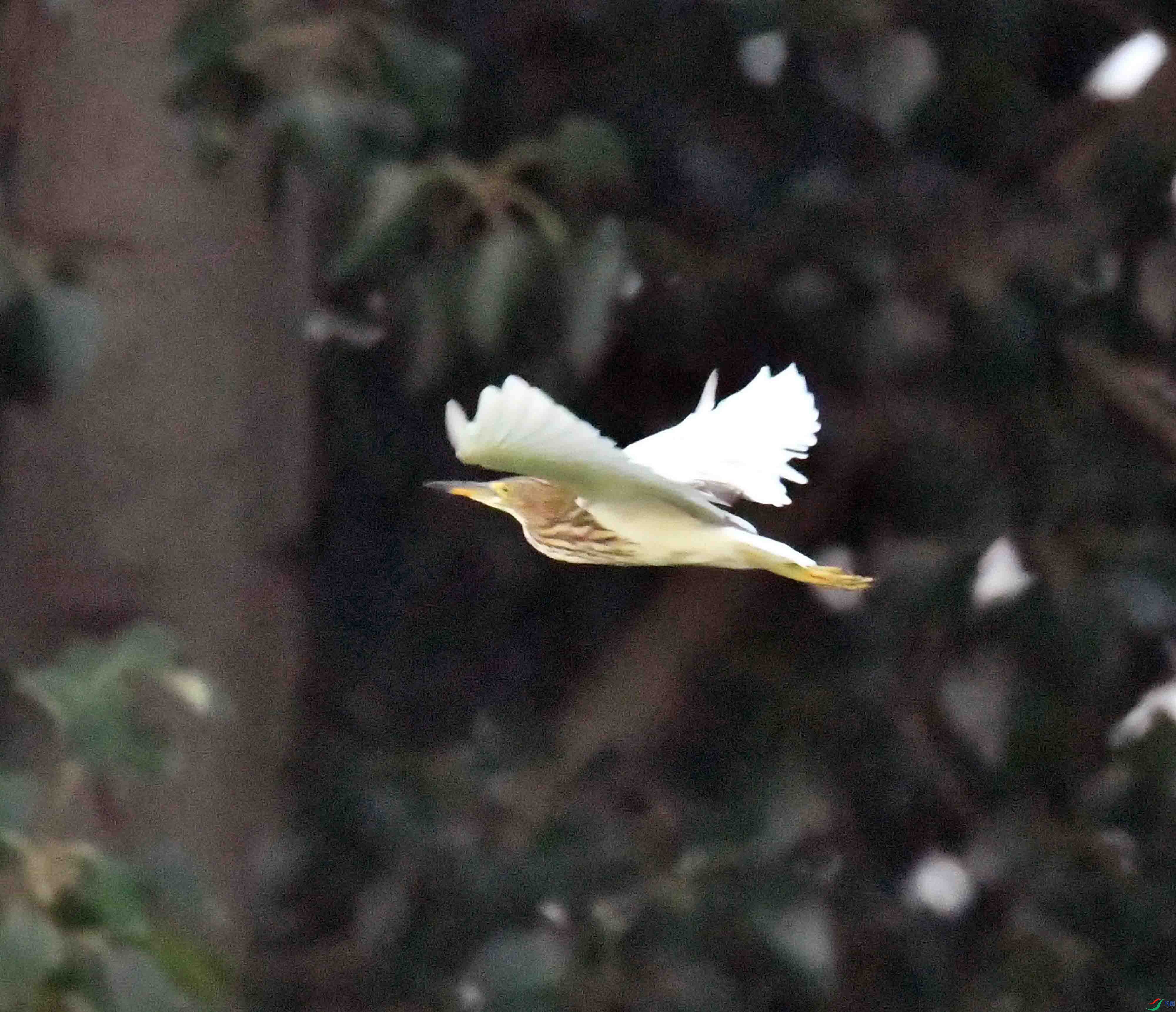 DSC_0748.JPG