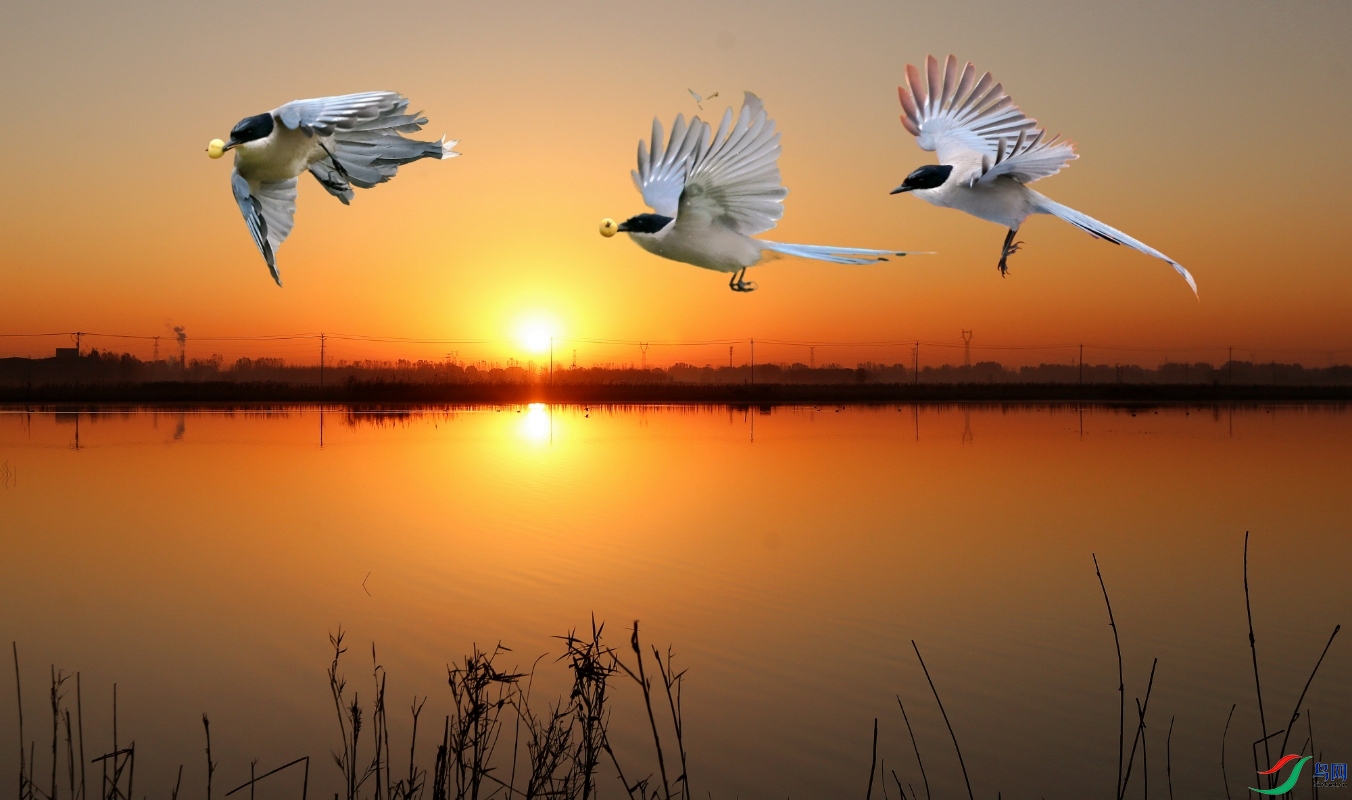 PicsArt_11-11-07.04.44.jpg
