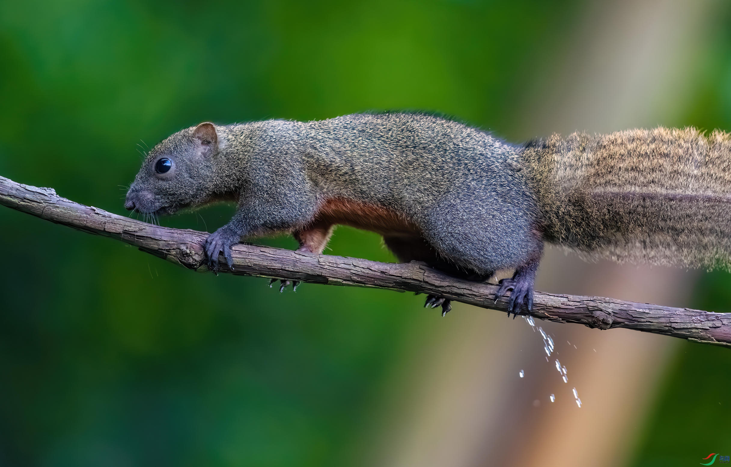 _DSC0461-����ǿ-NR_1.JPG