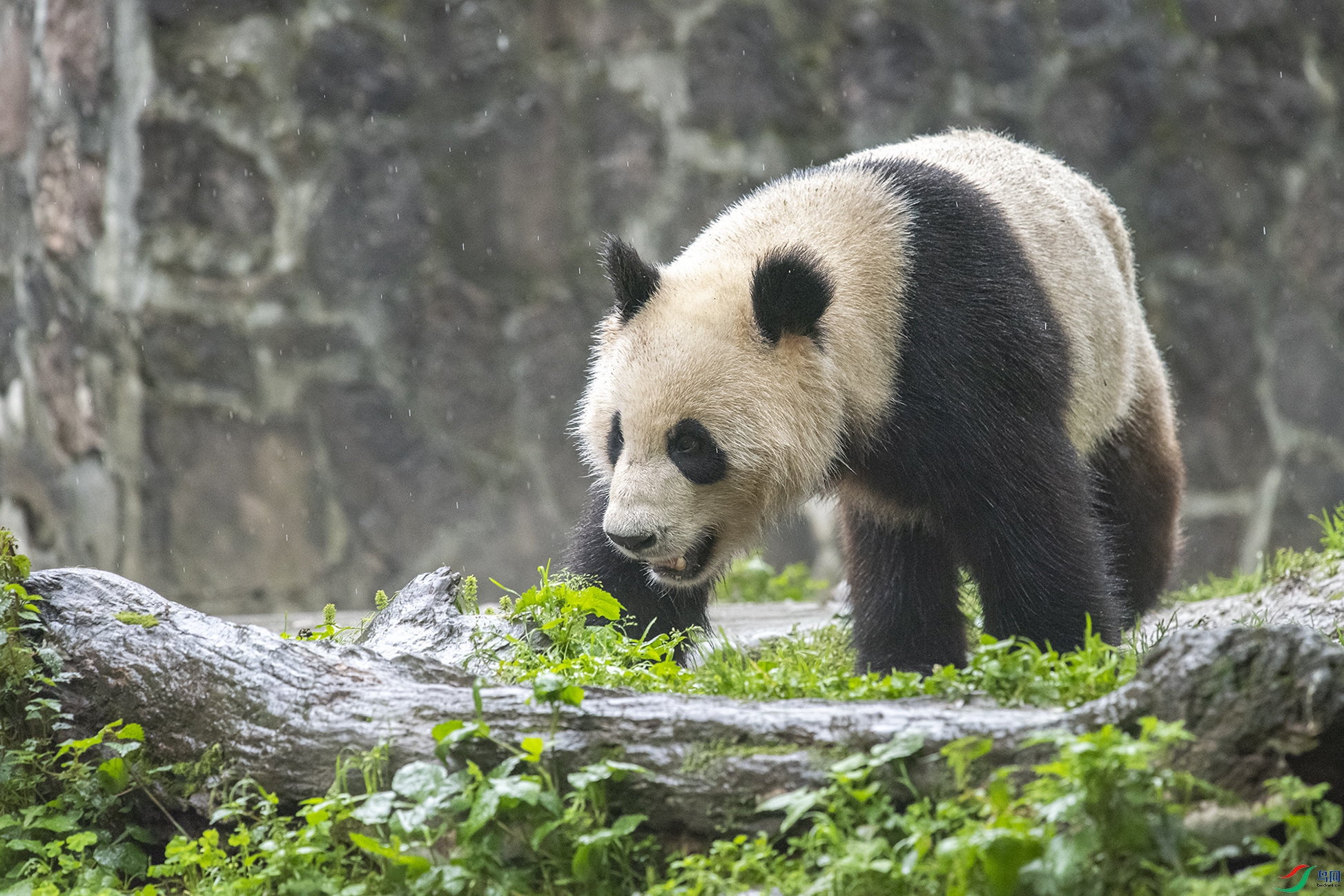 0384 ����.jpg