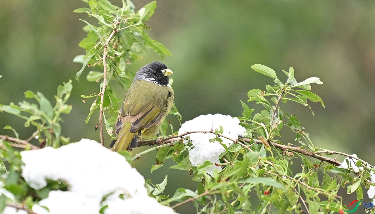 DSC_8932.JPG