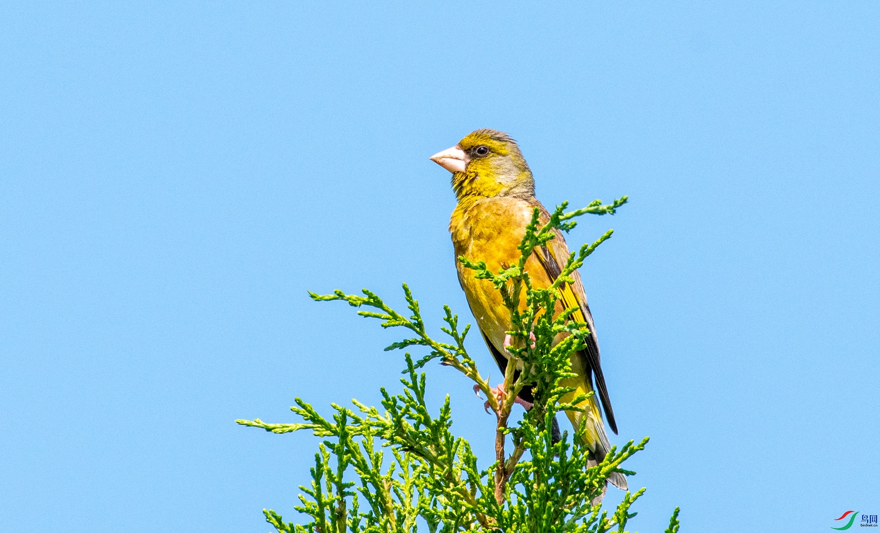 DSC_0212.jpg