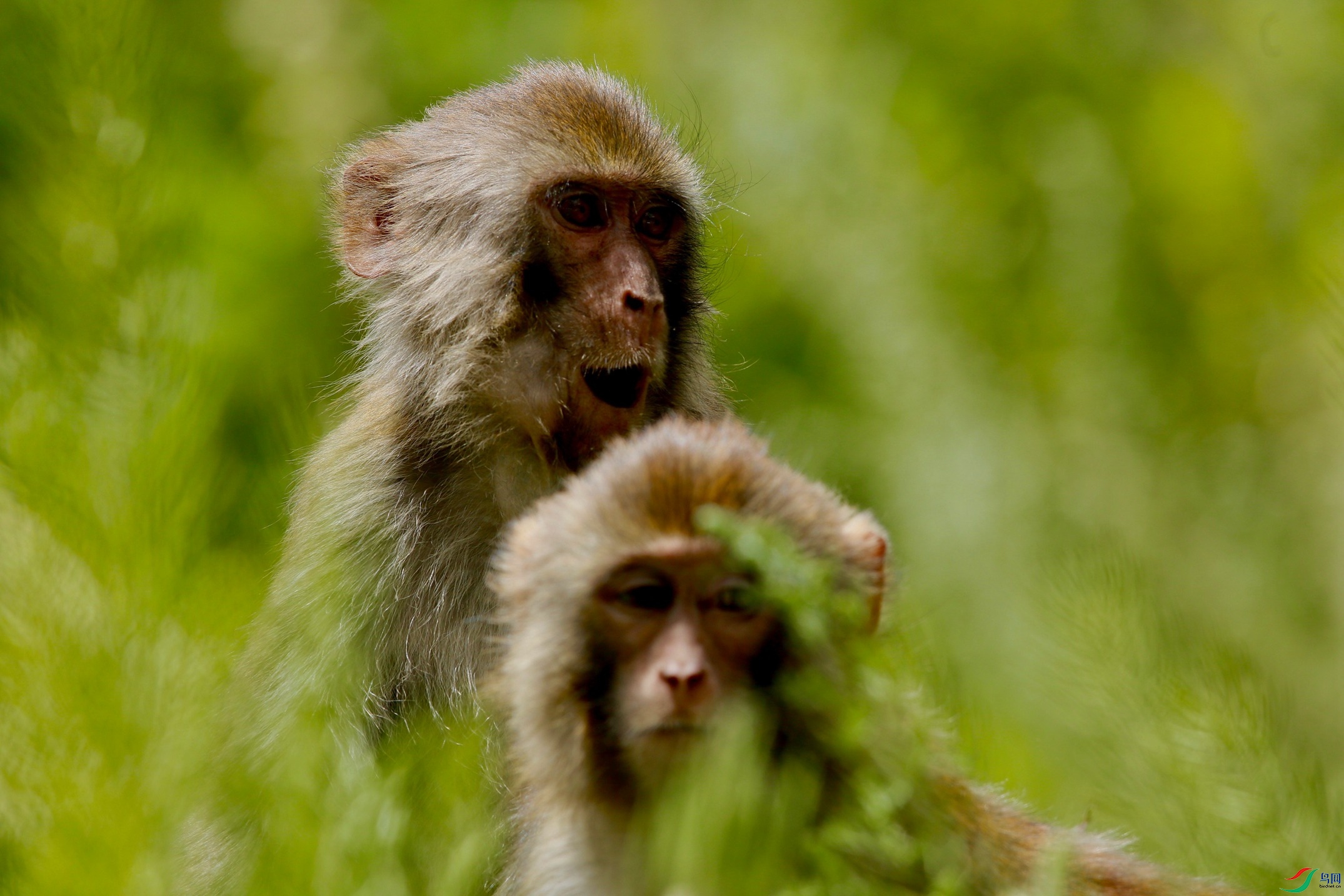 _39A6937 - ����.jpg