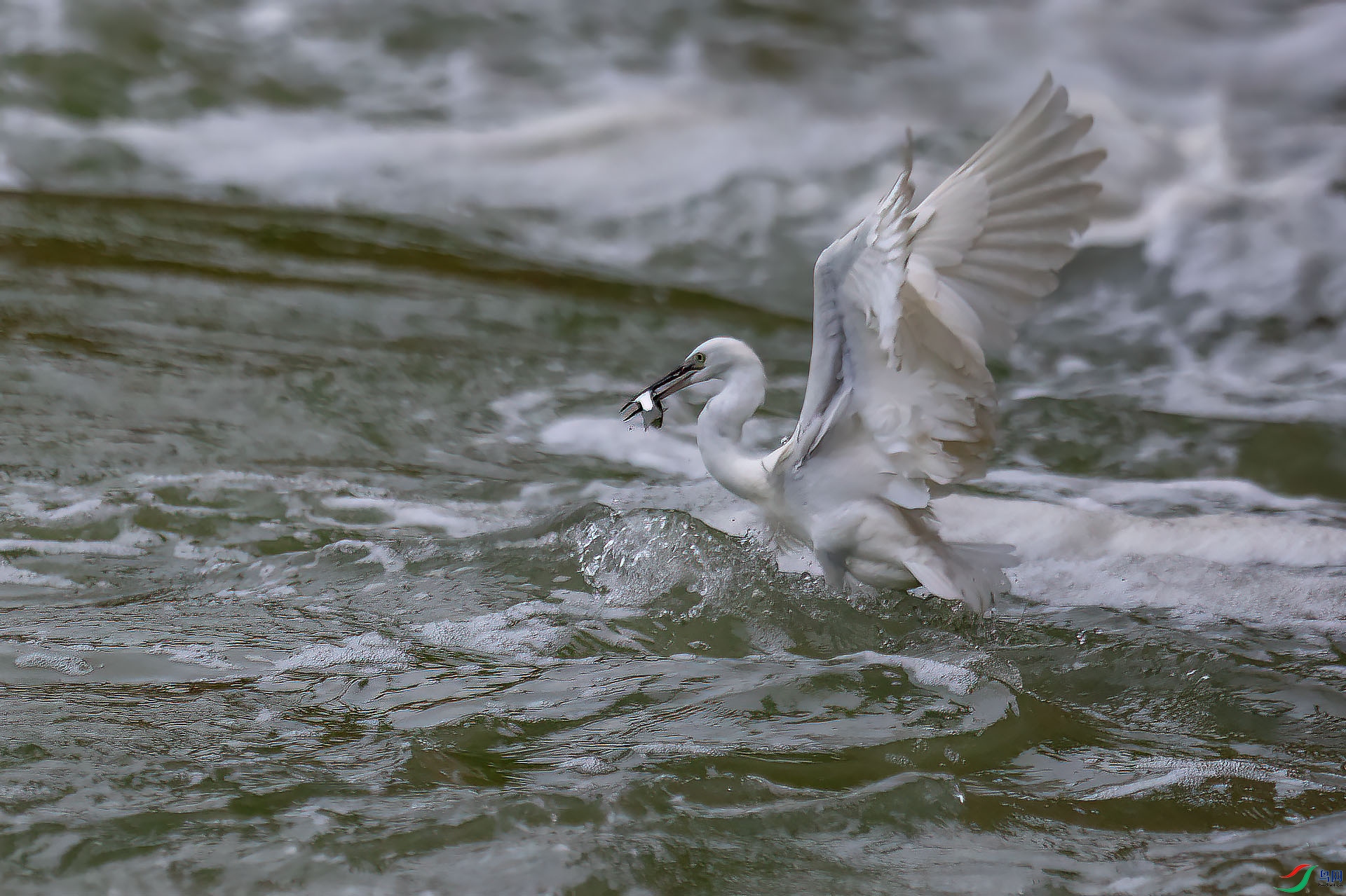 DSC_0414.jpg