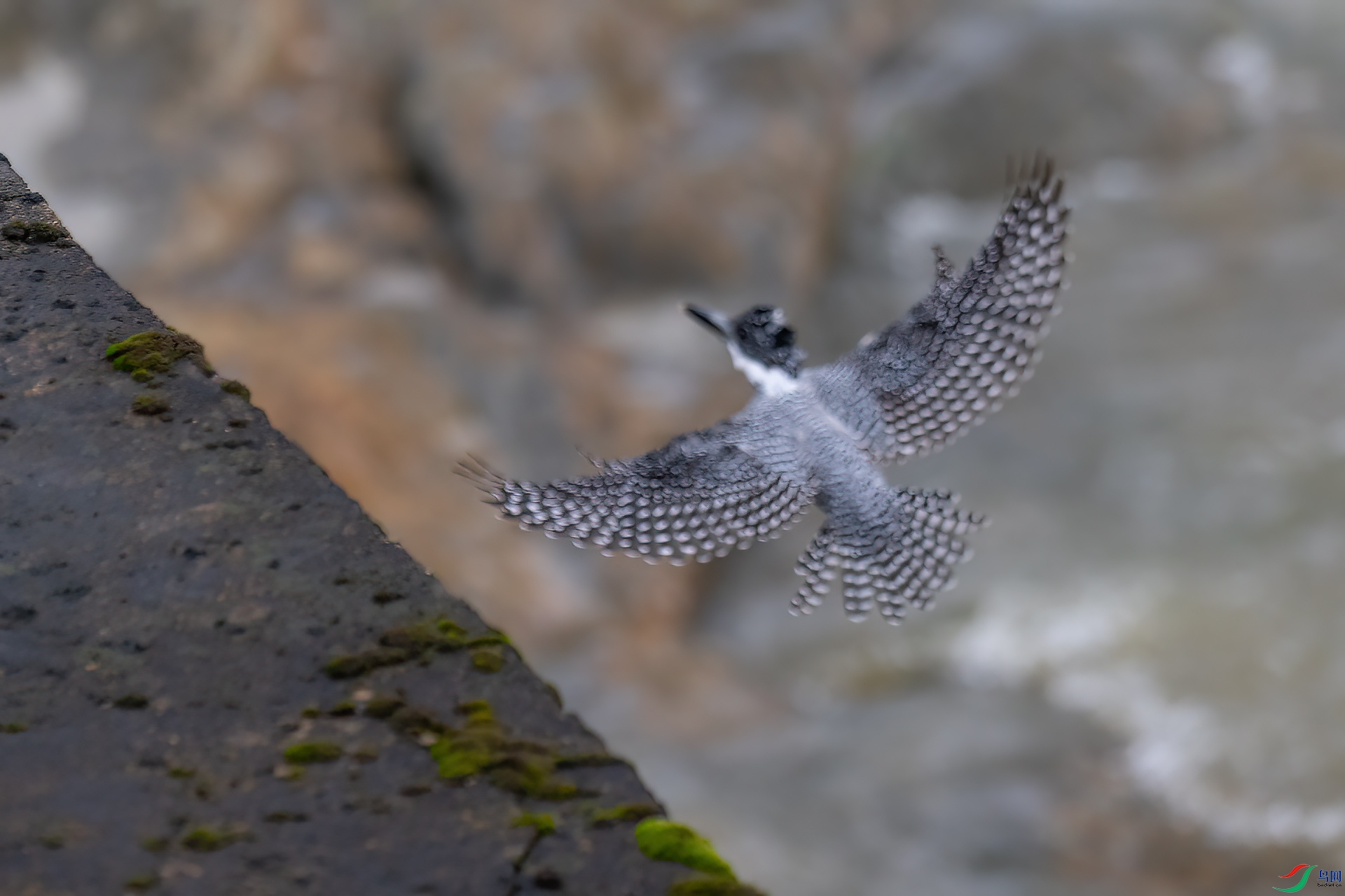 DSC_3795.jpg