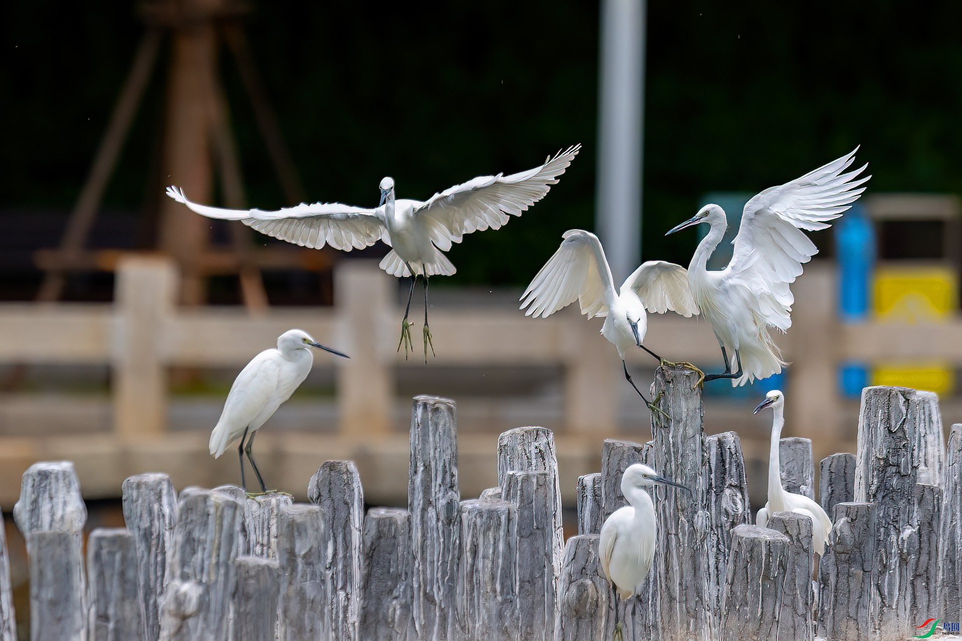 DSC_0471.jpg