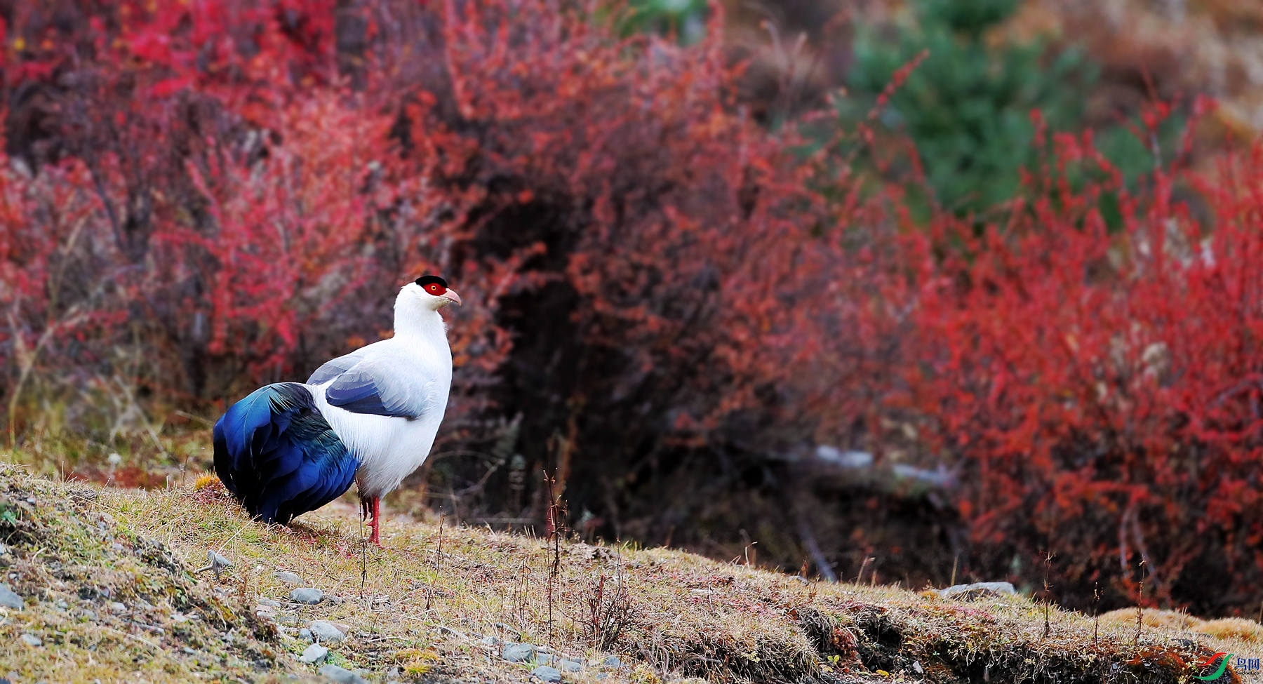 AE2I9609_����.jpg