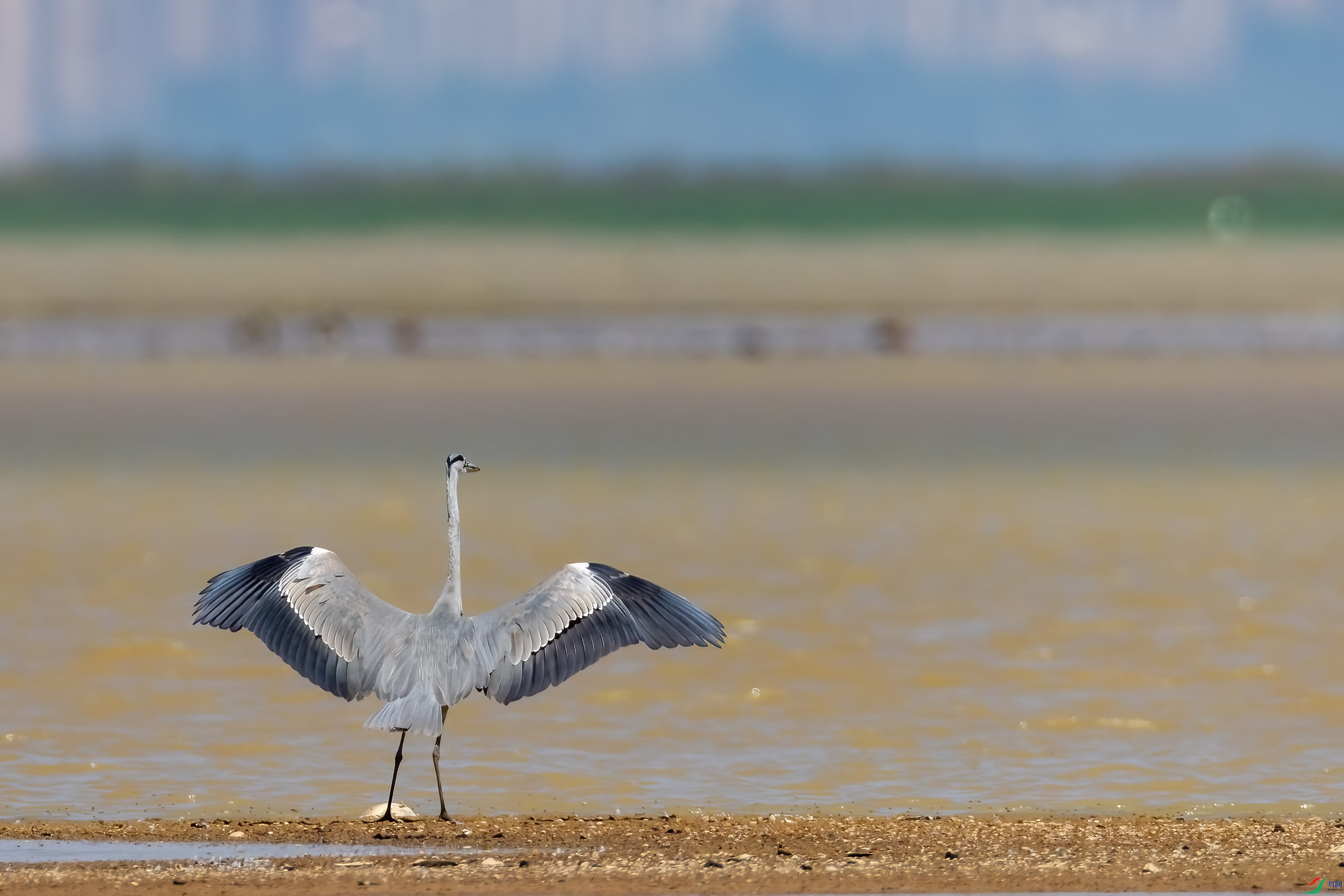 0M3A6849 ����.jpg