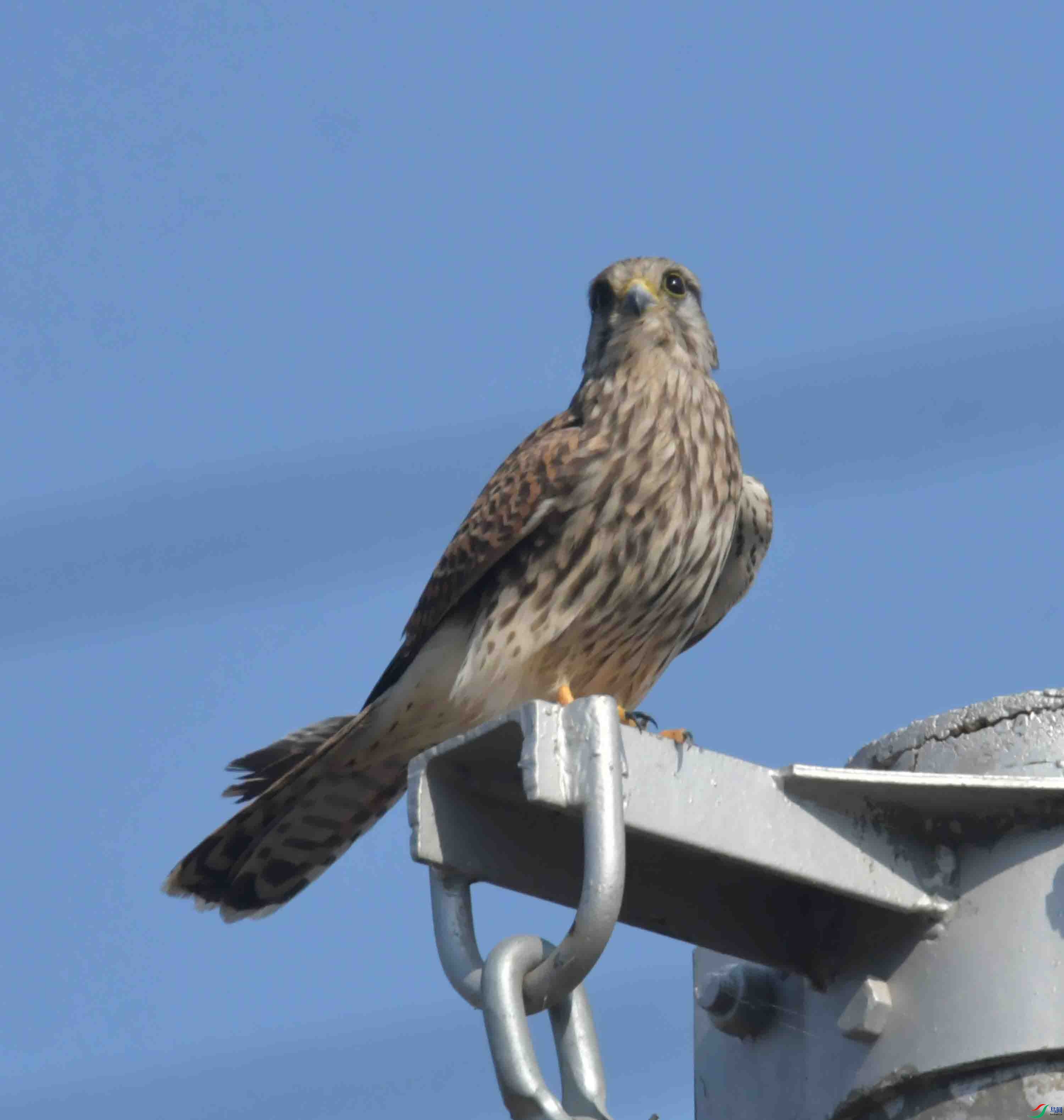 DSC_2986.JPG