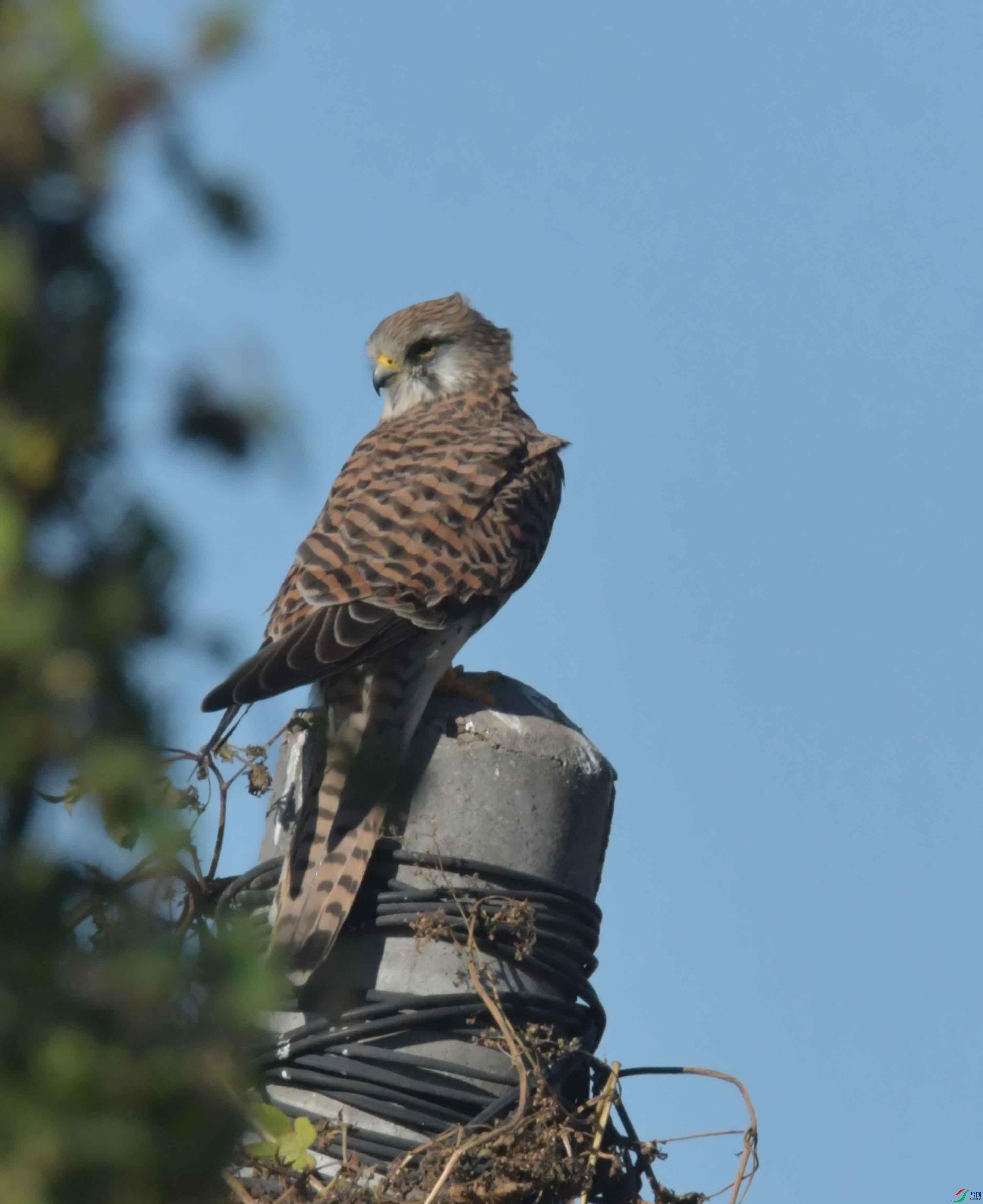 DSC_3089.JPG