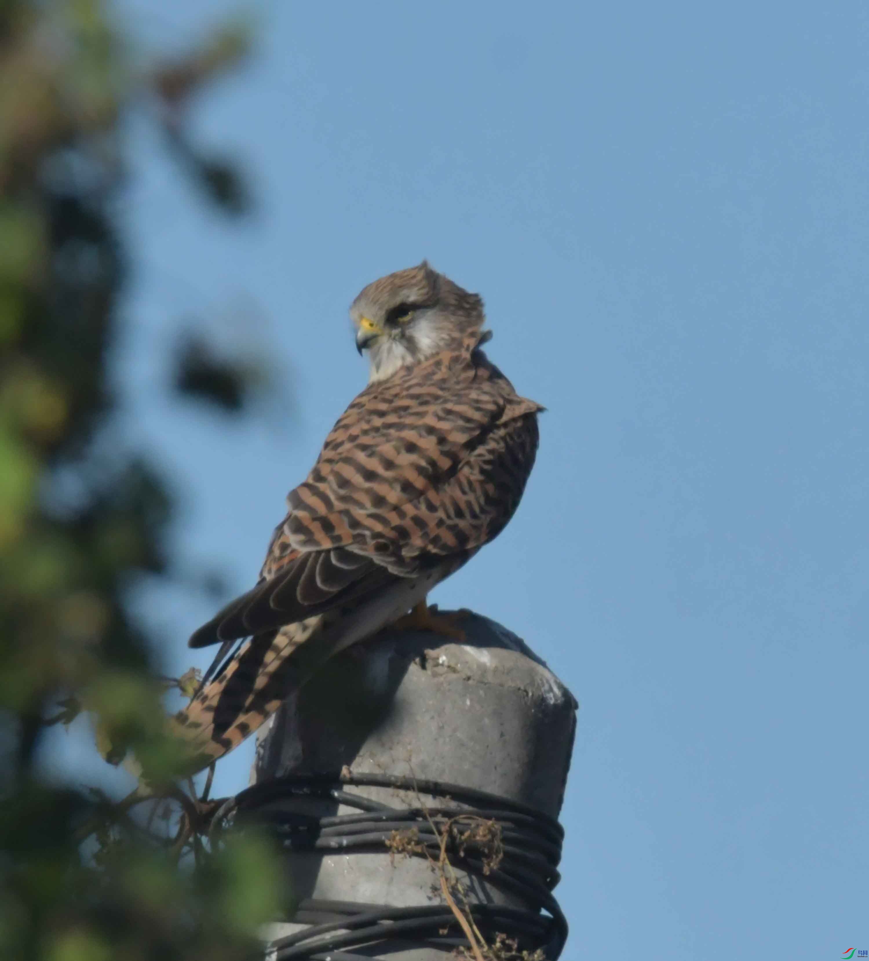 DSC_3091.JPG