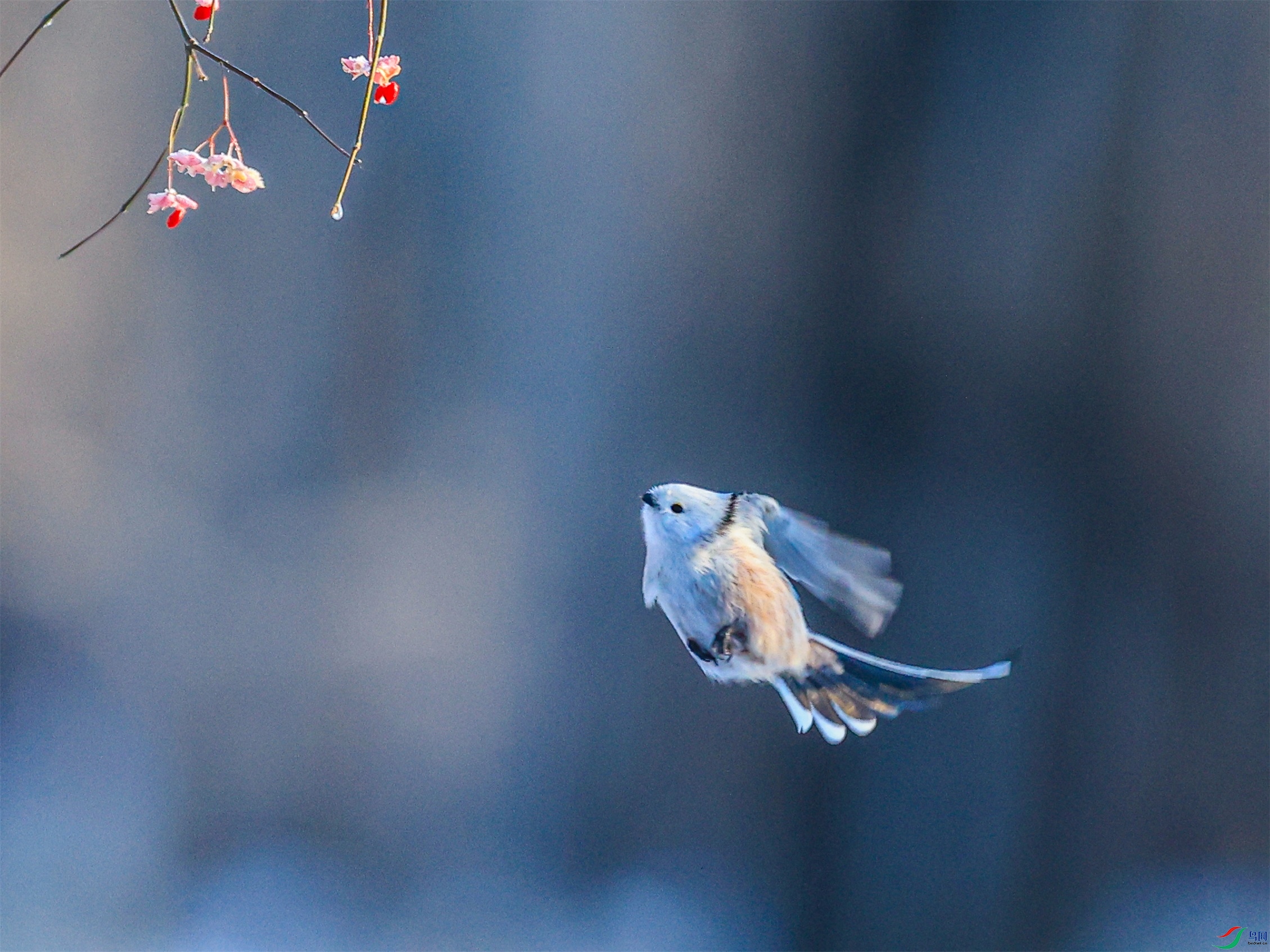 1K3A1922 ����1.jpg