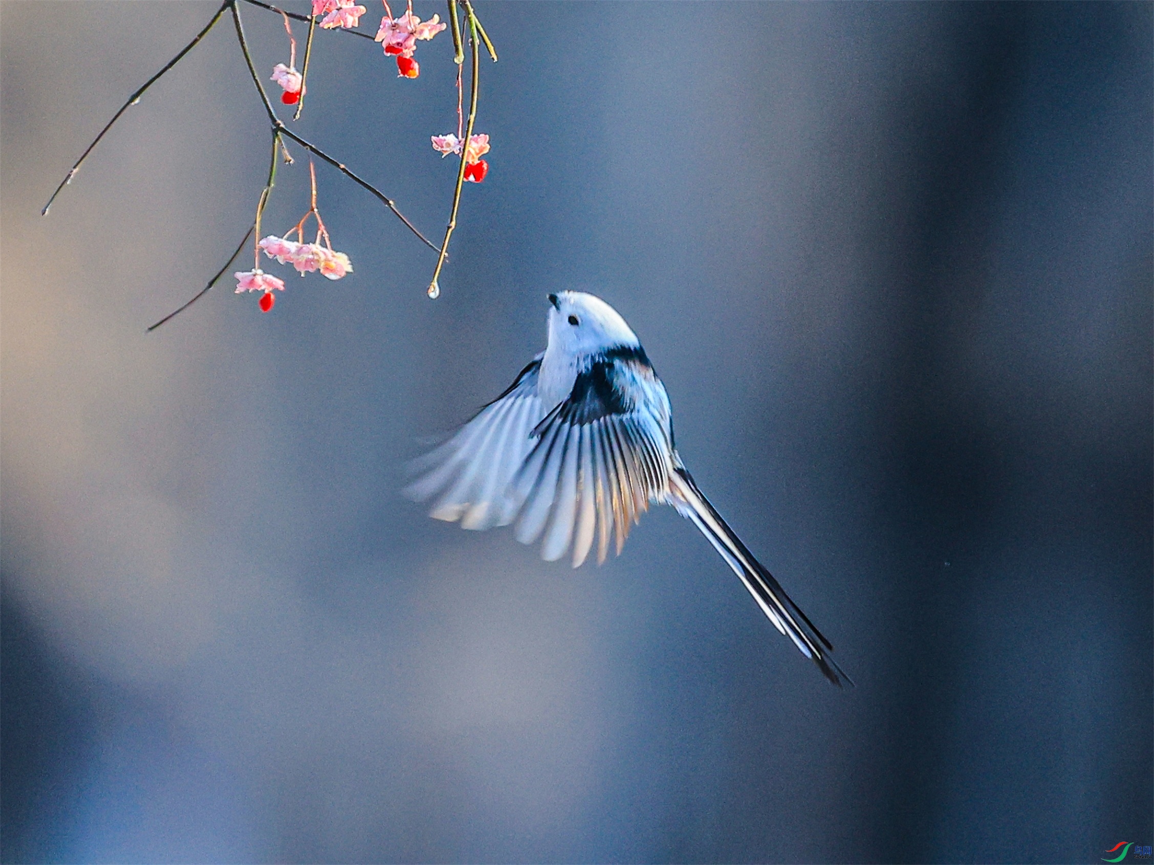 1K3A1925 ����1.jpg