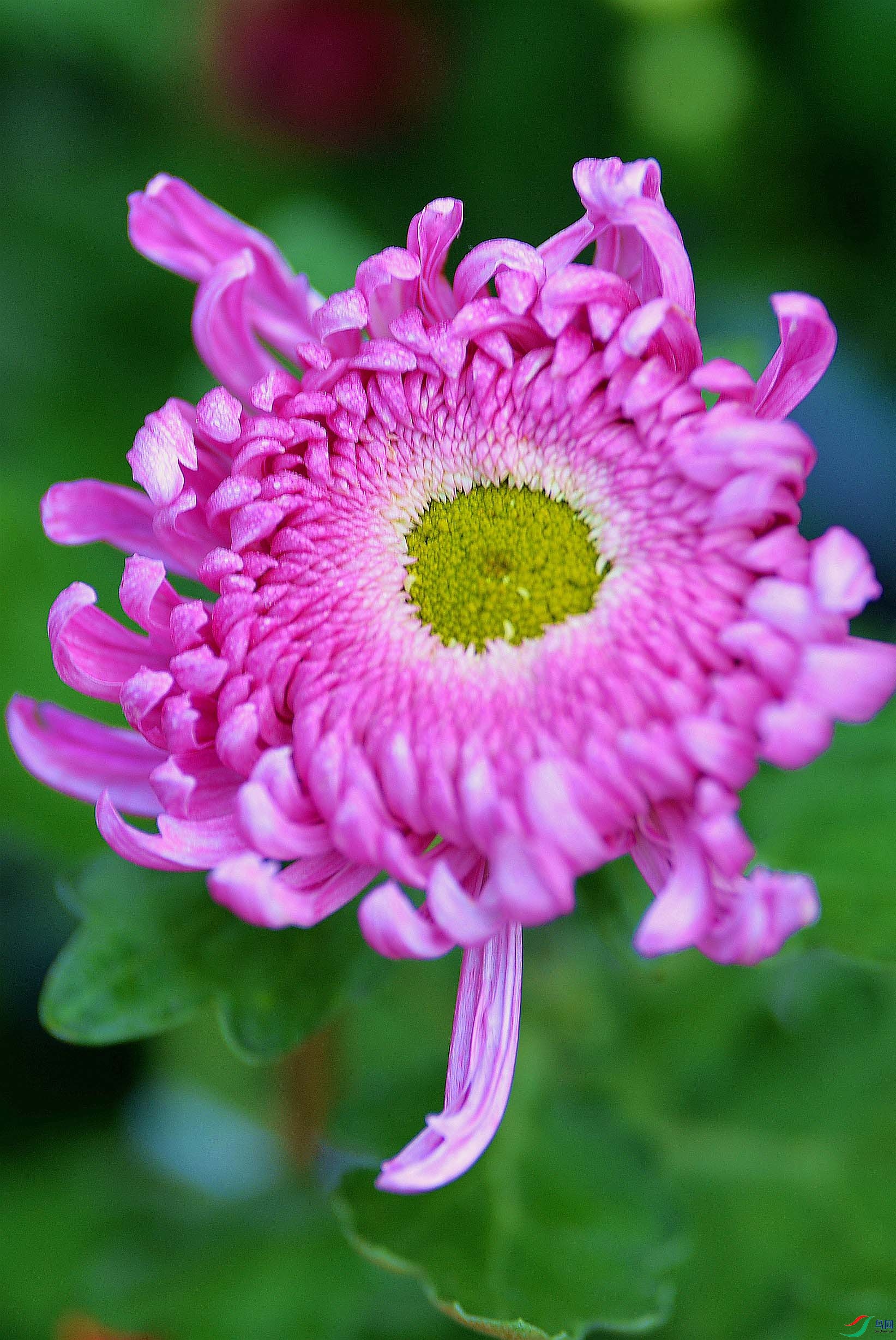 DSC_2828.JPG
