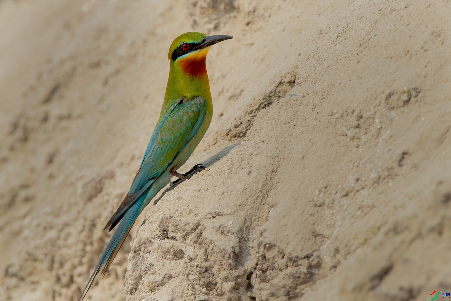 B86I6890 _����.jpg