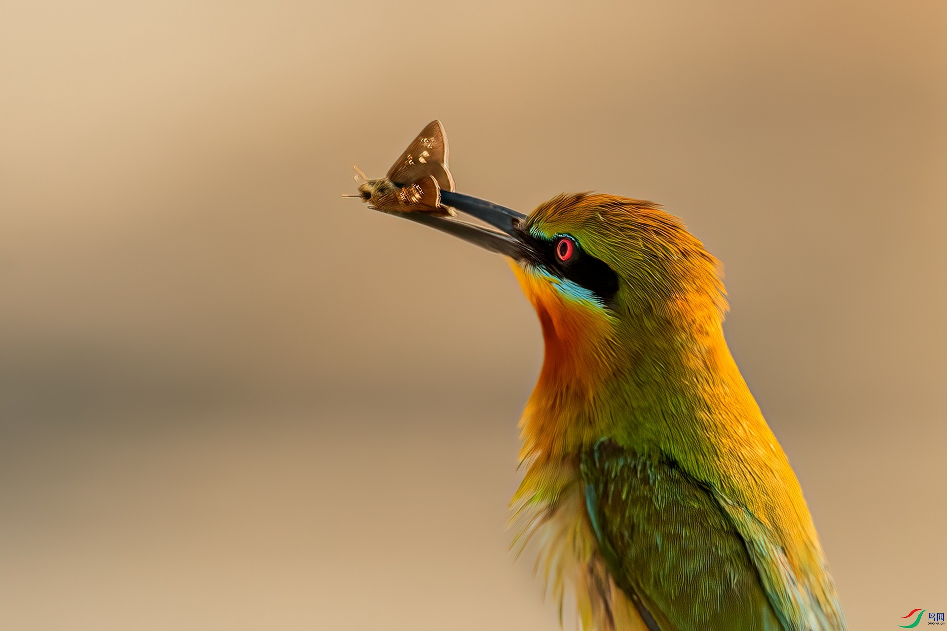 B86I6518 _����.jpg