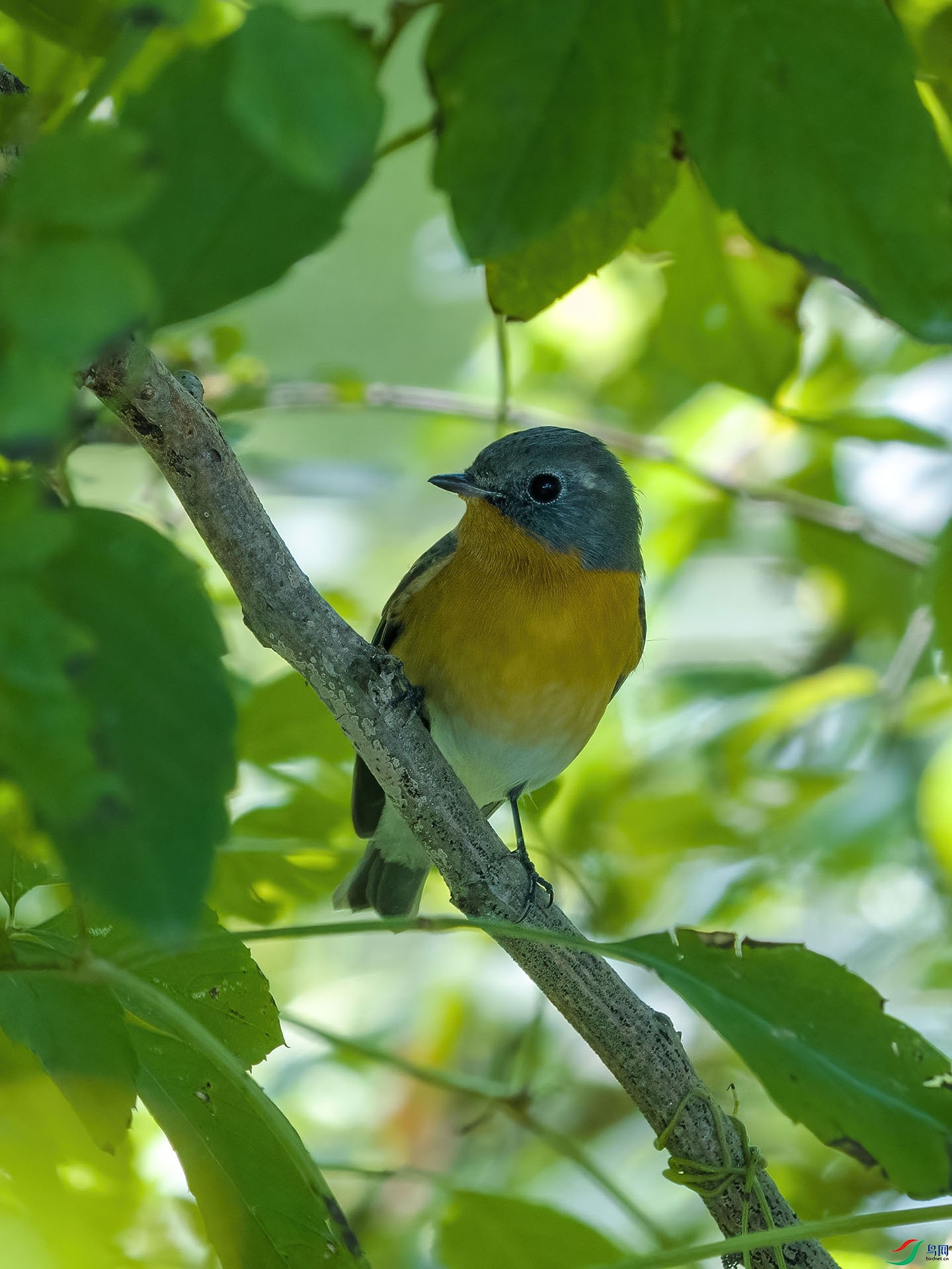 02 PA188711-DeNoiseAI-low-light.jpg