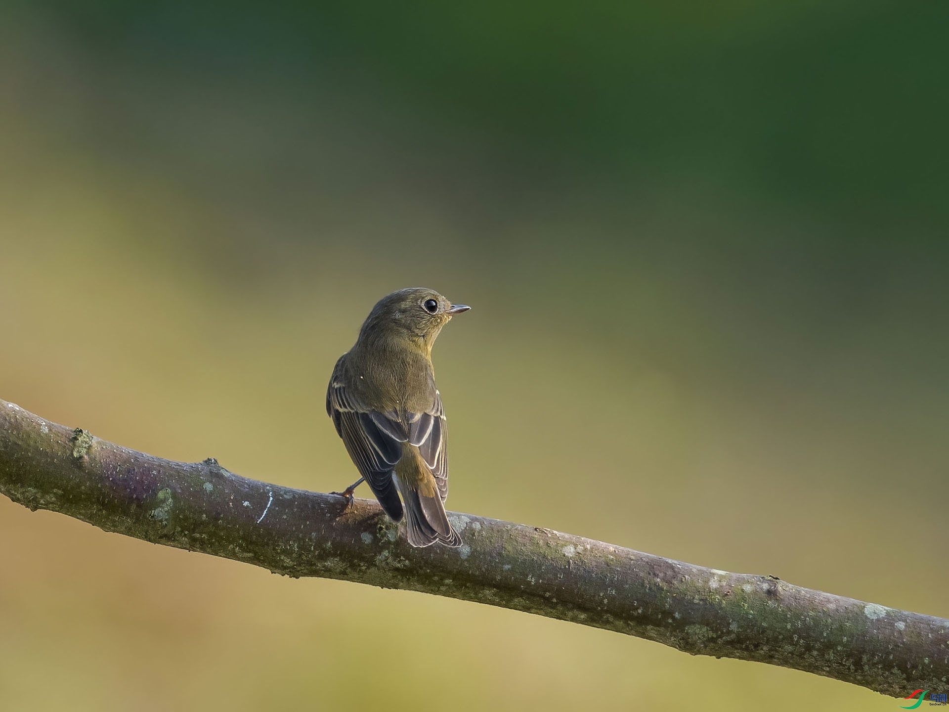 03 PA174125-DeNoiseAI-low-light.jpg