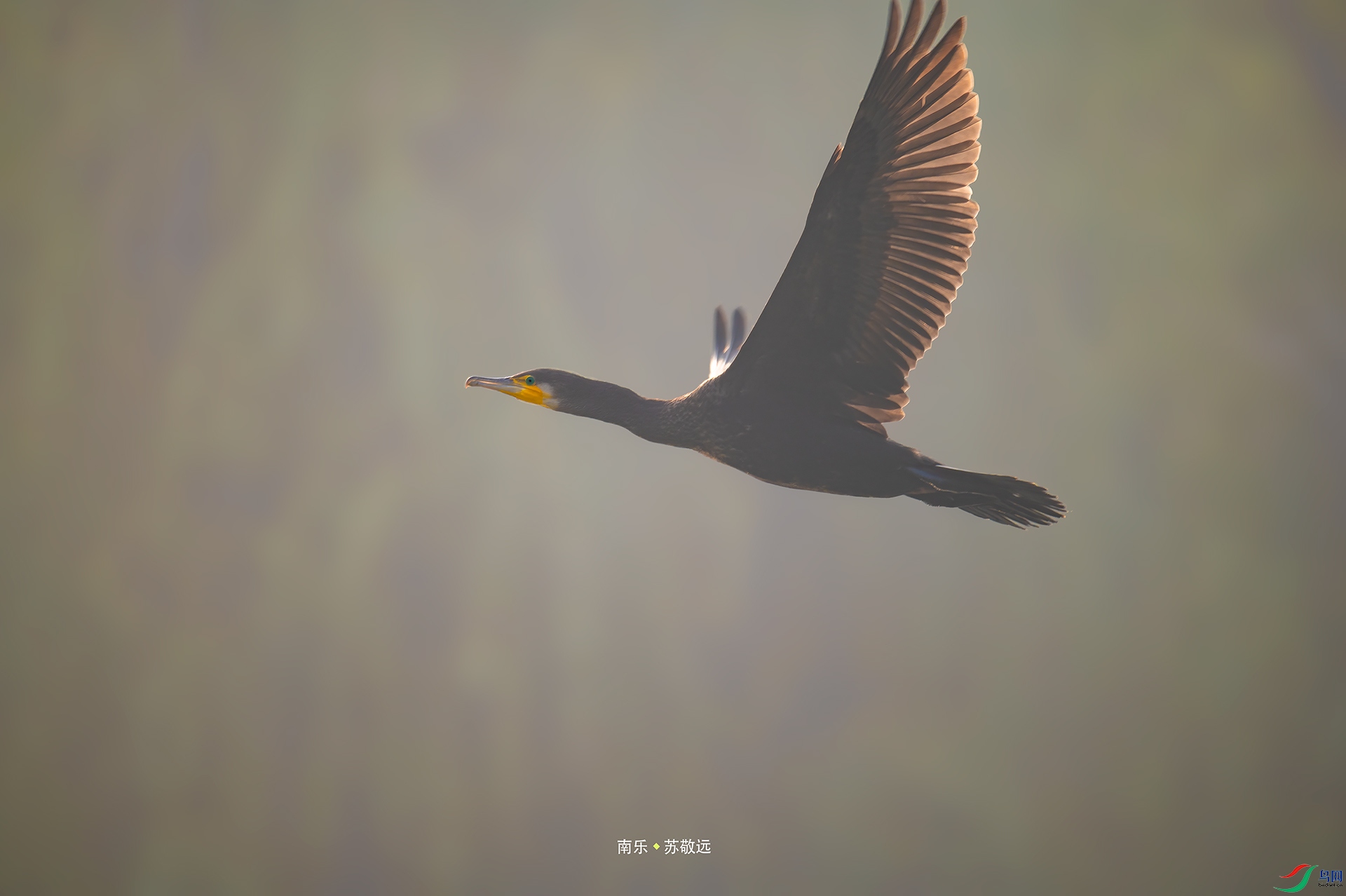 _AAA0406С.jpg