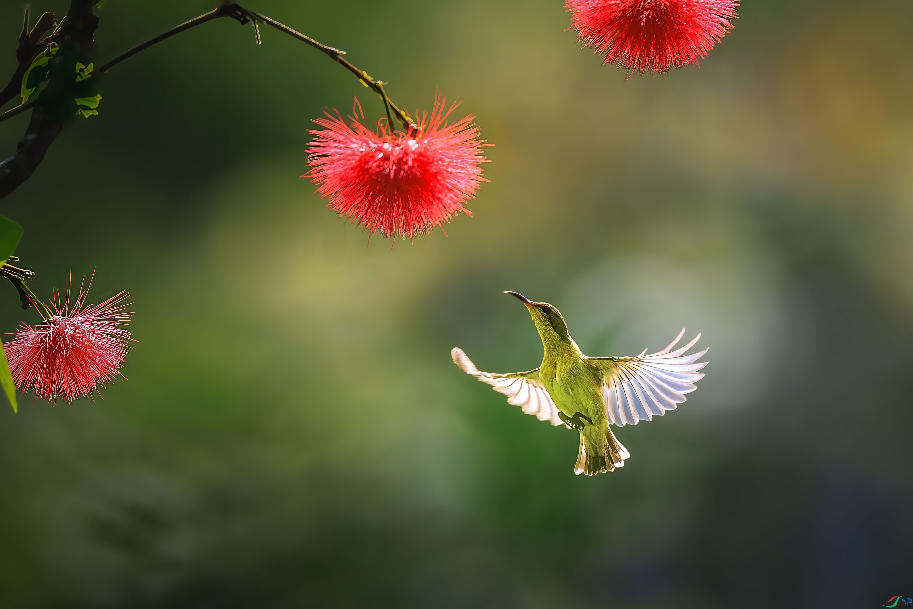 1A6A7944-2С.jpg