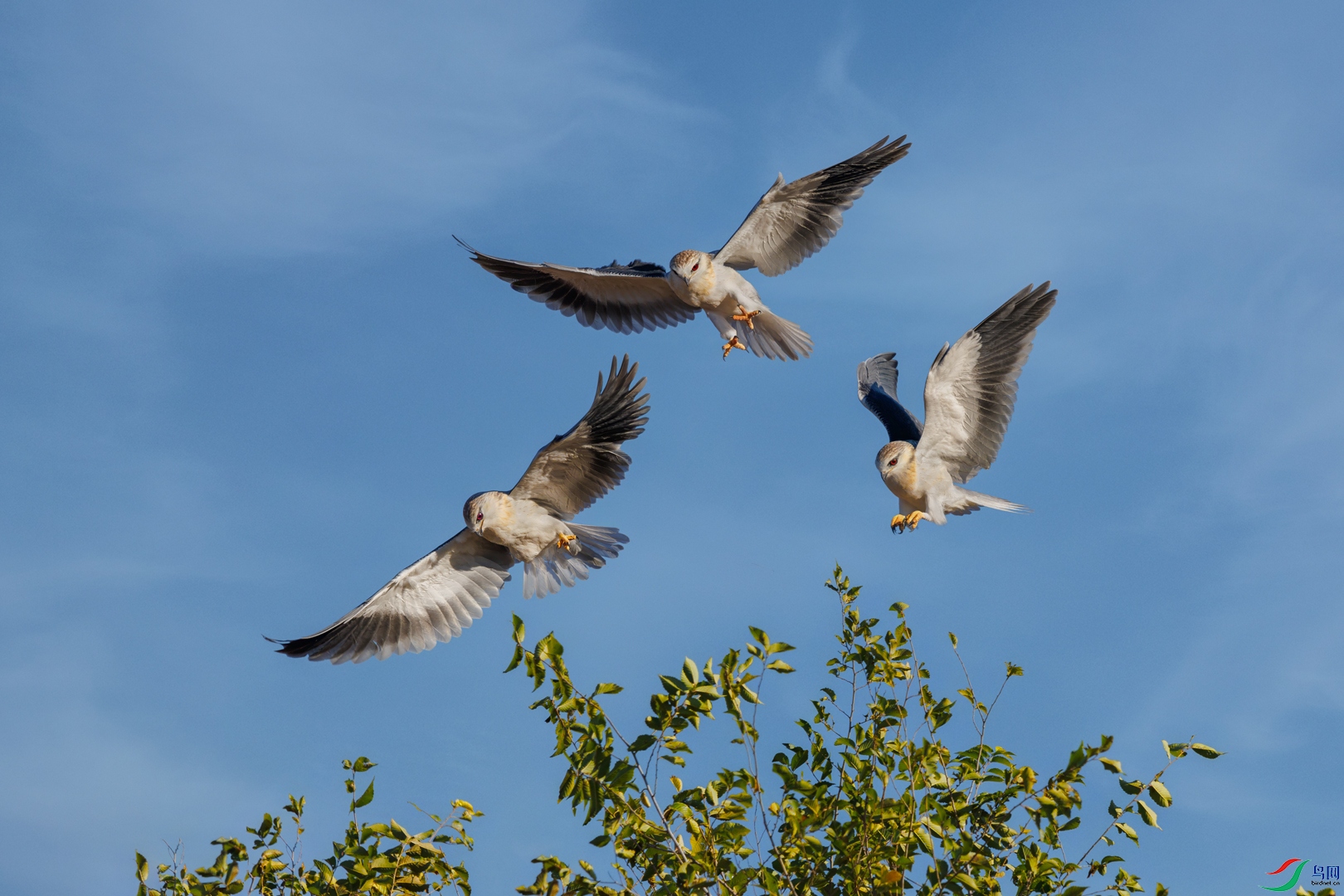 3G4A5167-1.jpg