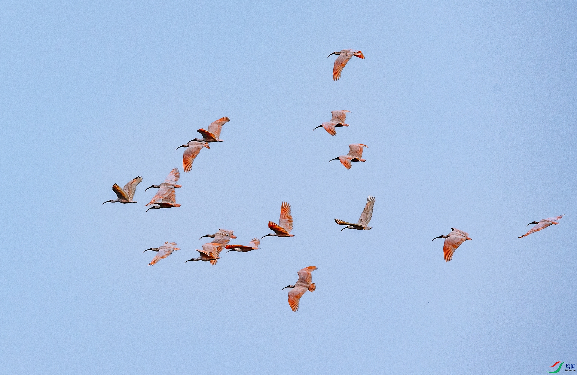 DSC_0468 ����_����.jpg