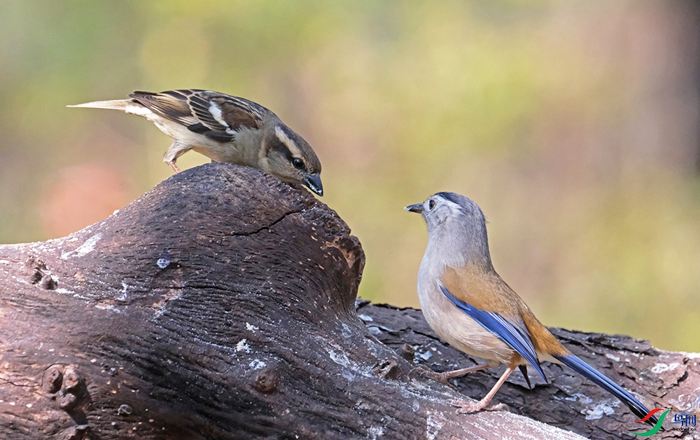 DSCF8795.1.jpg