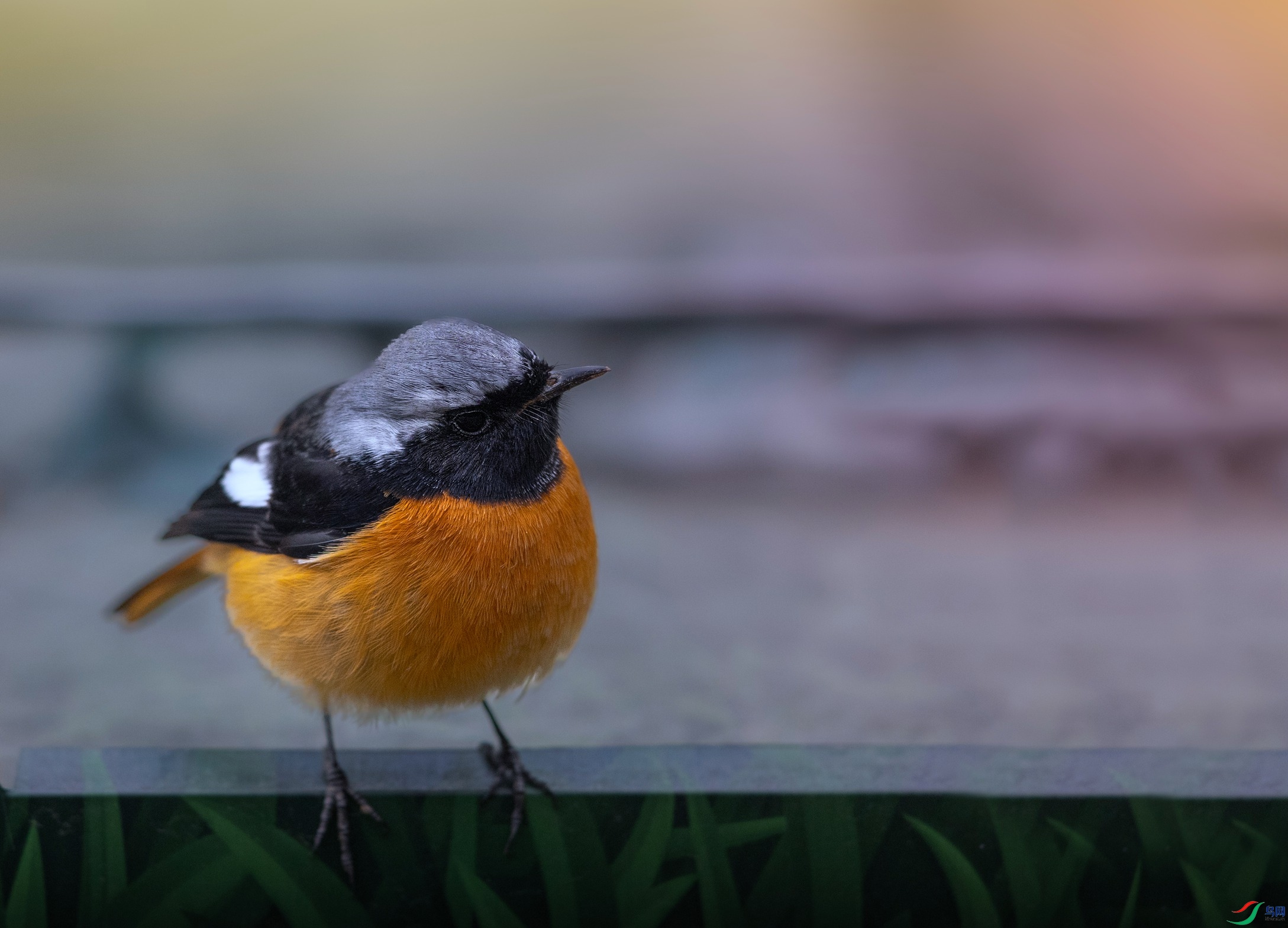 7X5A1342 - ����.jpg