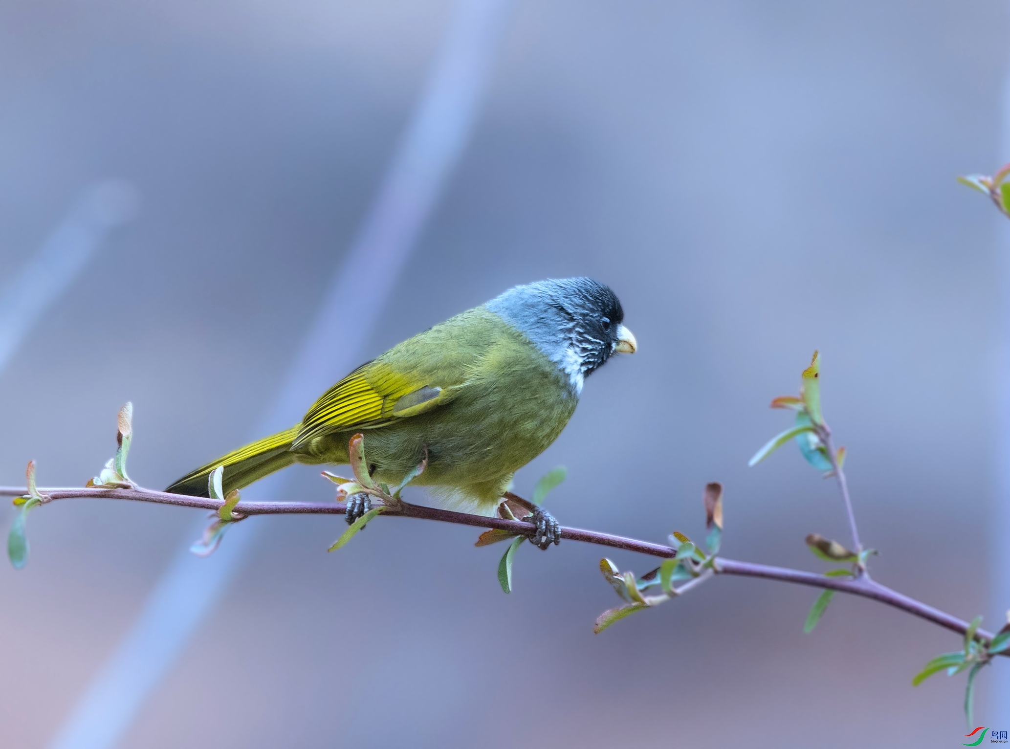 ��ȸ���� - ����.jpg