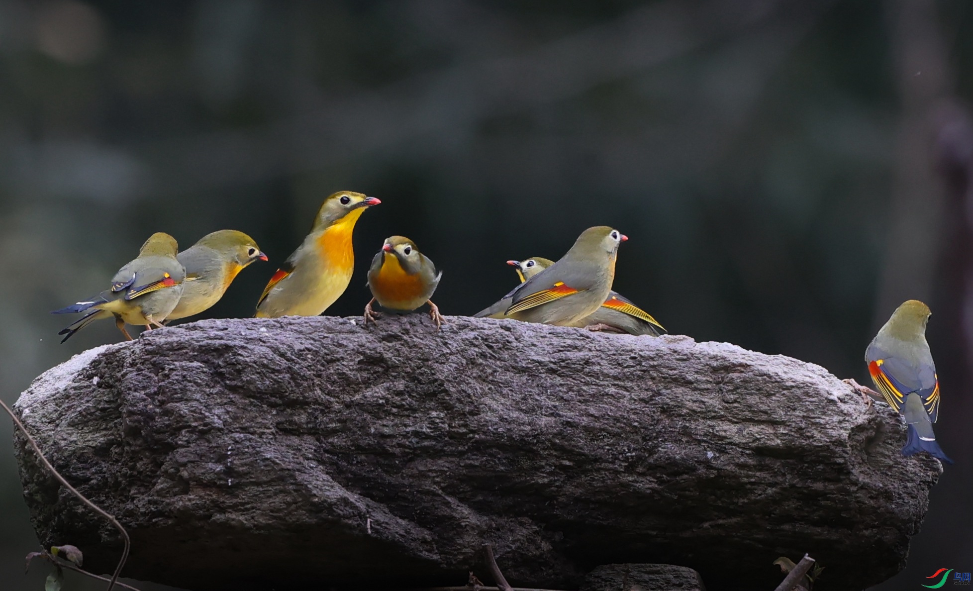 381A4549 - ����.JPG