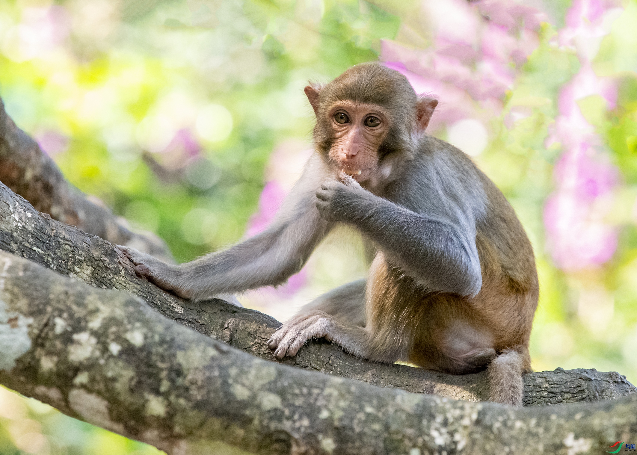 7681 ����.jpg