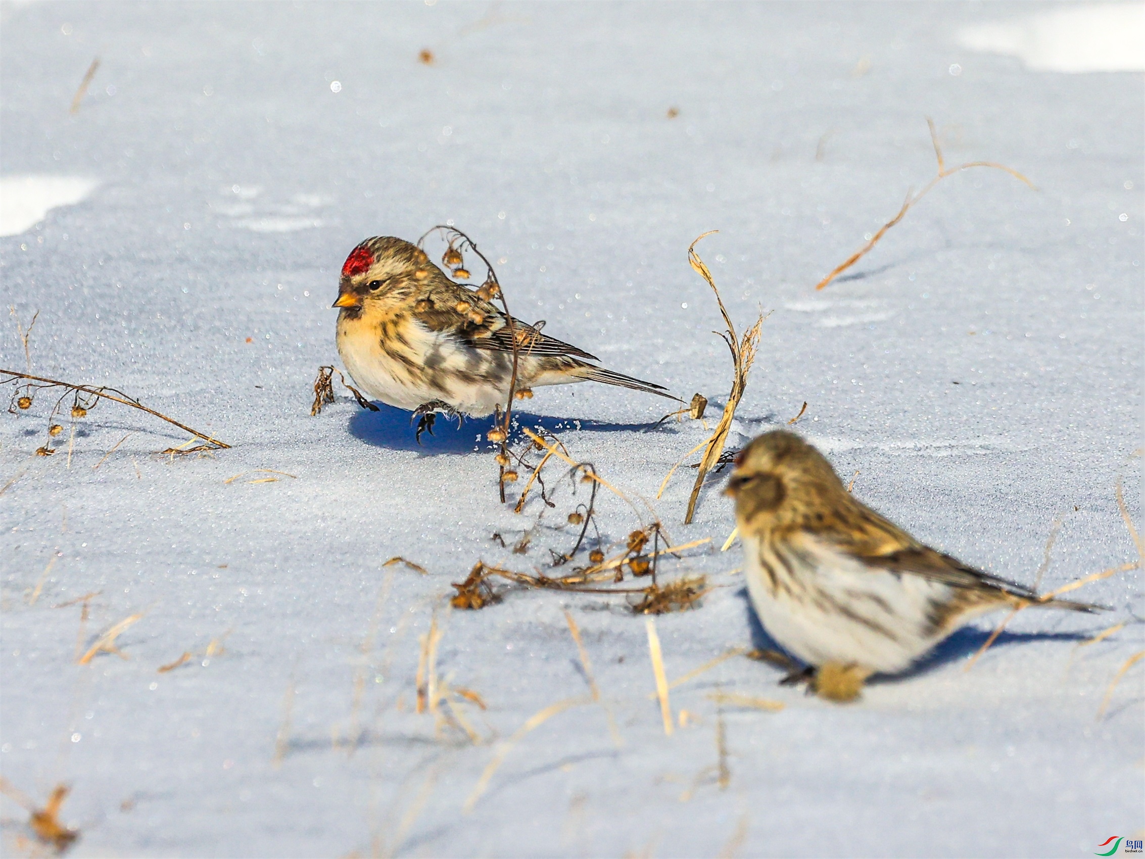 1K3A3407 ���� 1.jpg