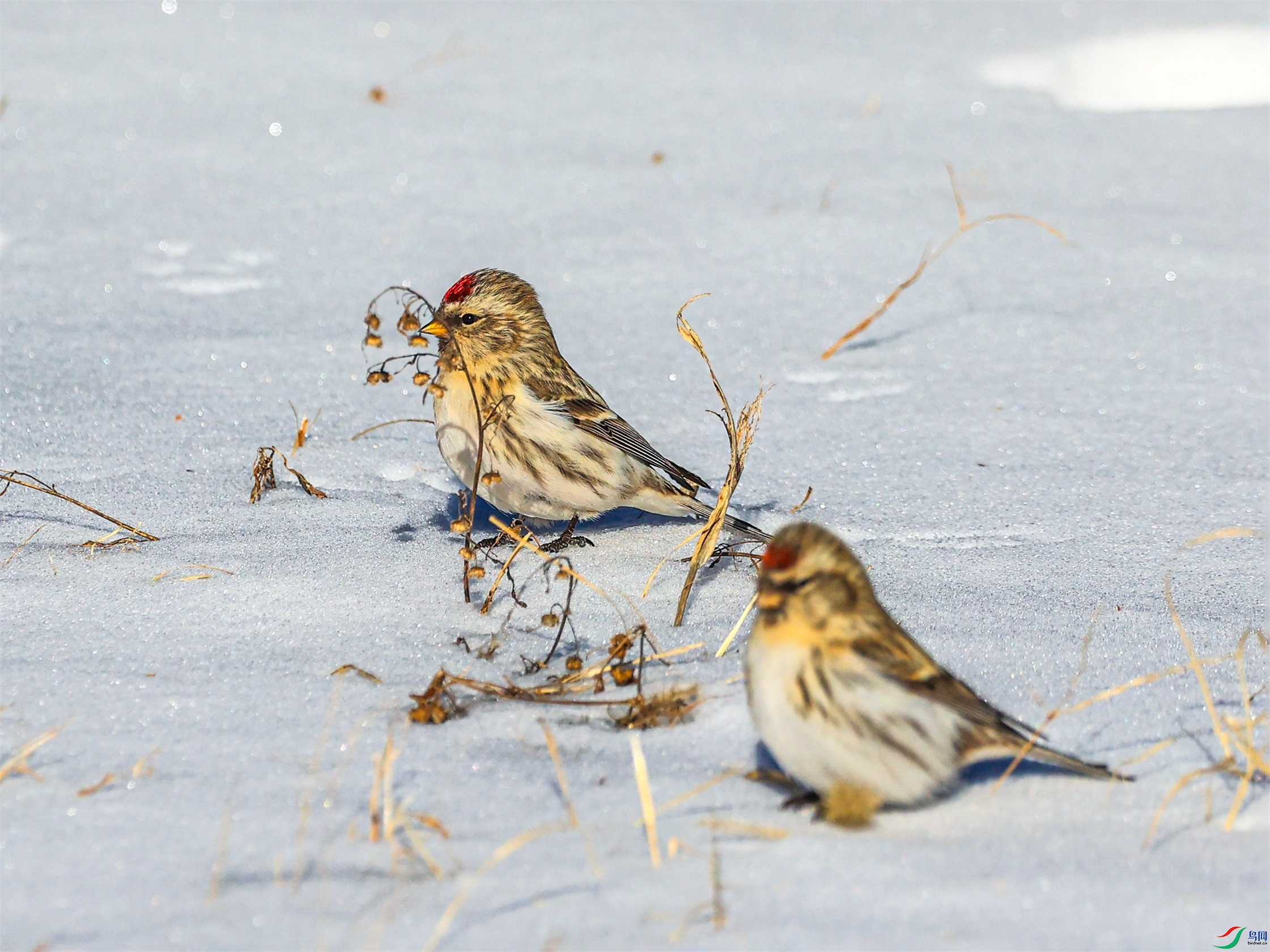 1K3A3405 ���� 1.jpg