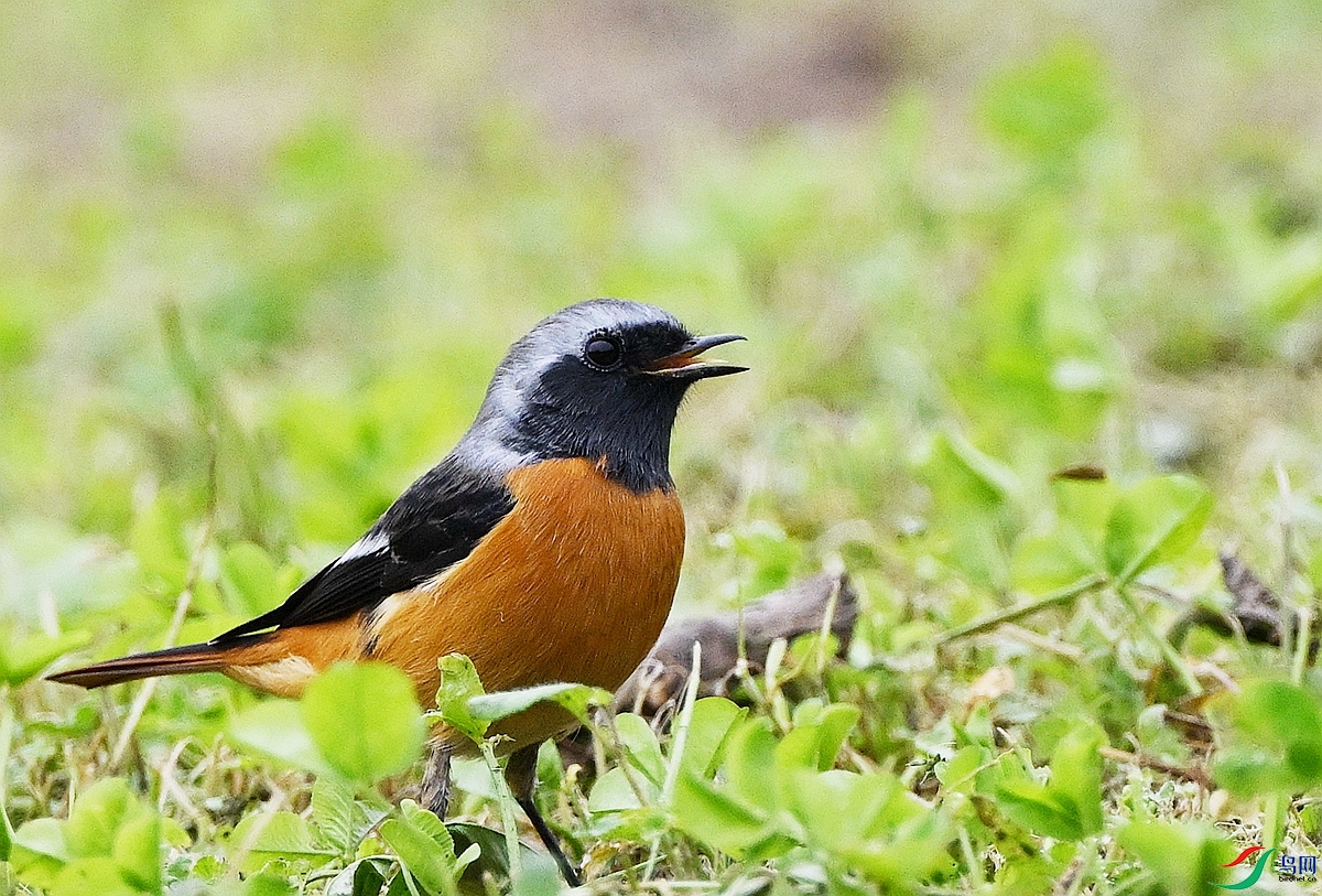 DSC_6721.JPG