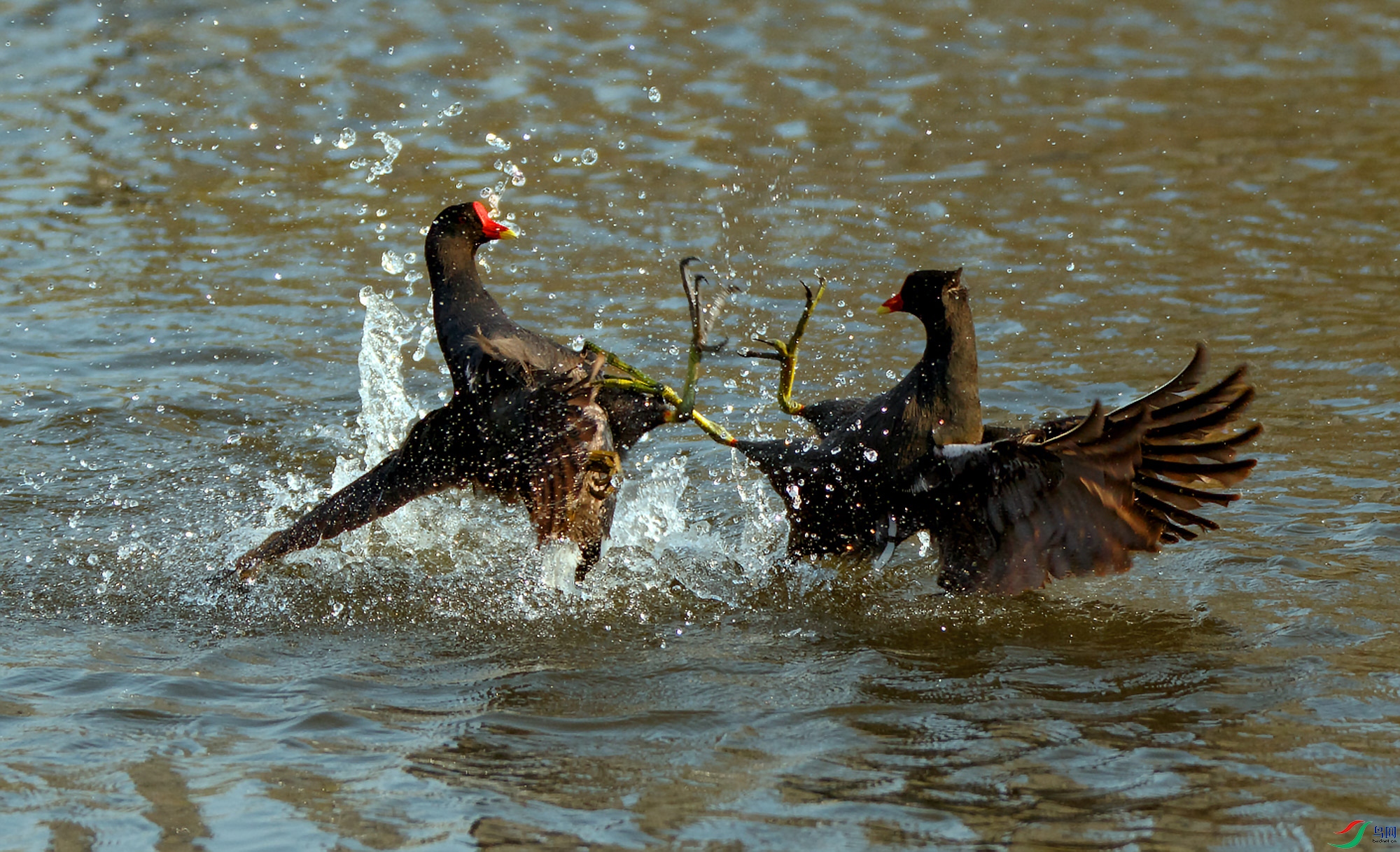 1N5A5814 ����.jpg