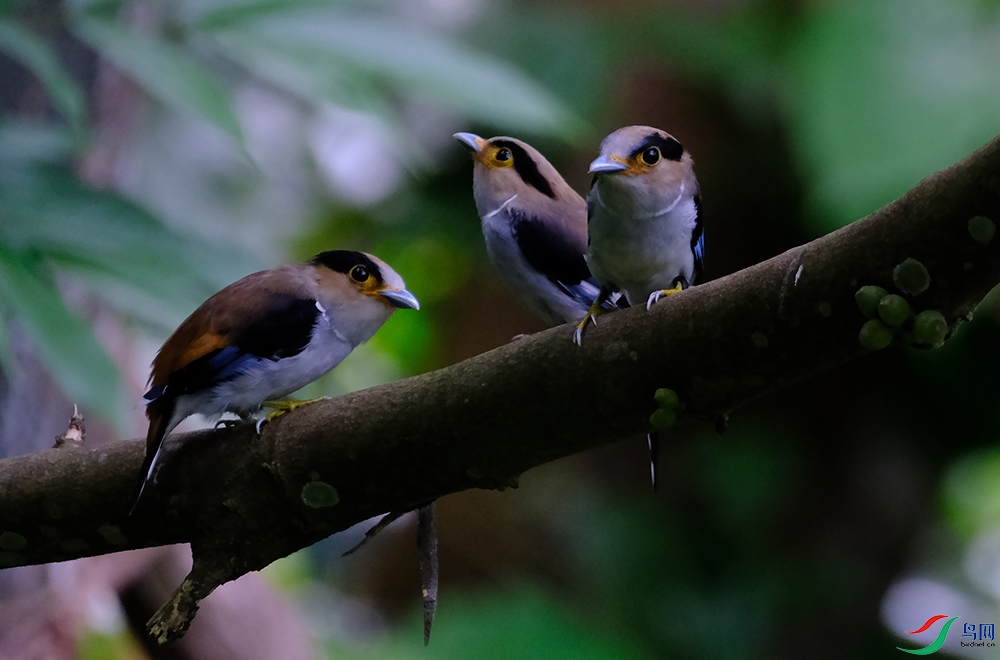DSCF2848.1.jpg